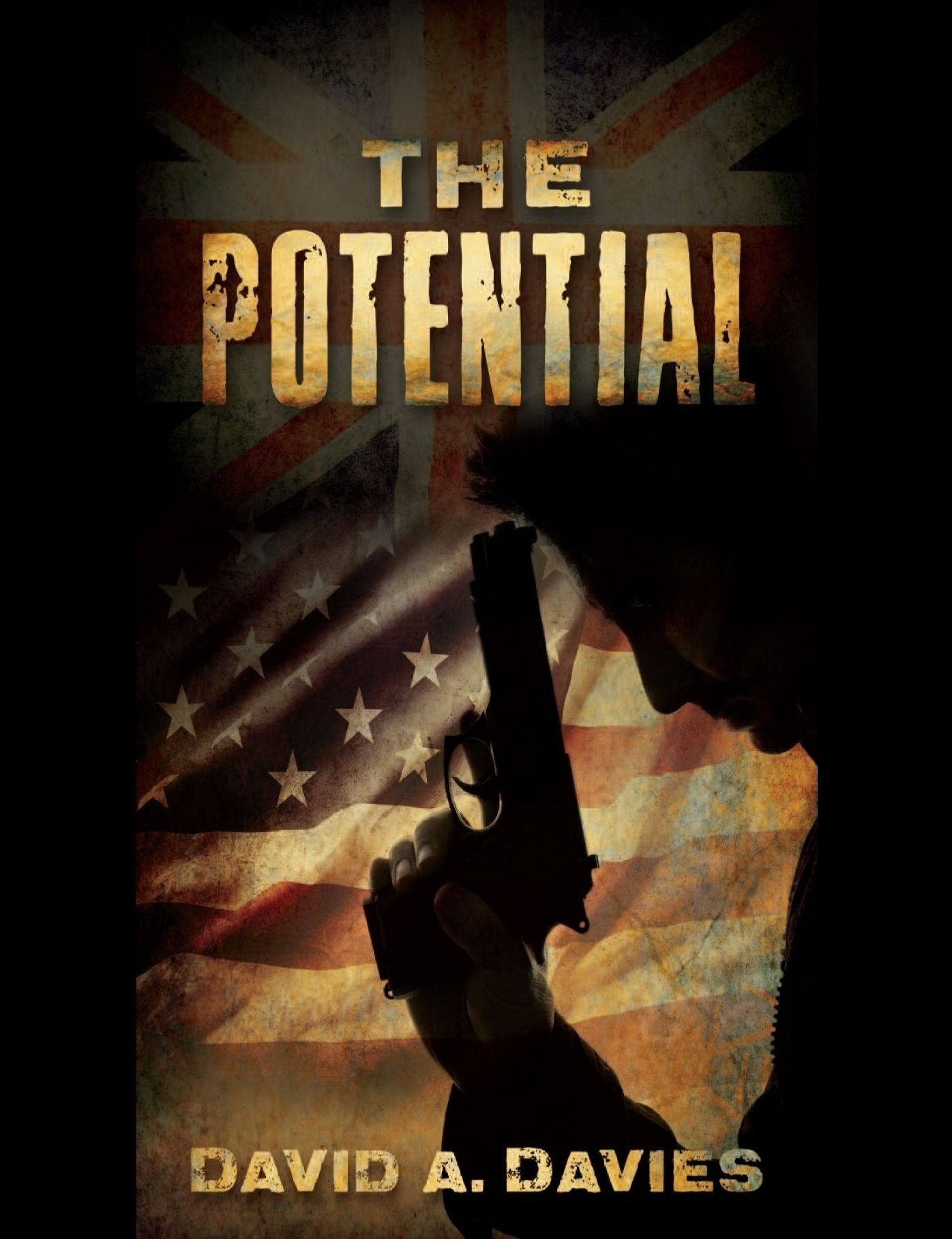 The Potential