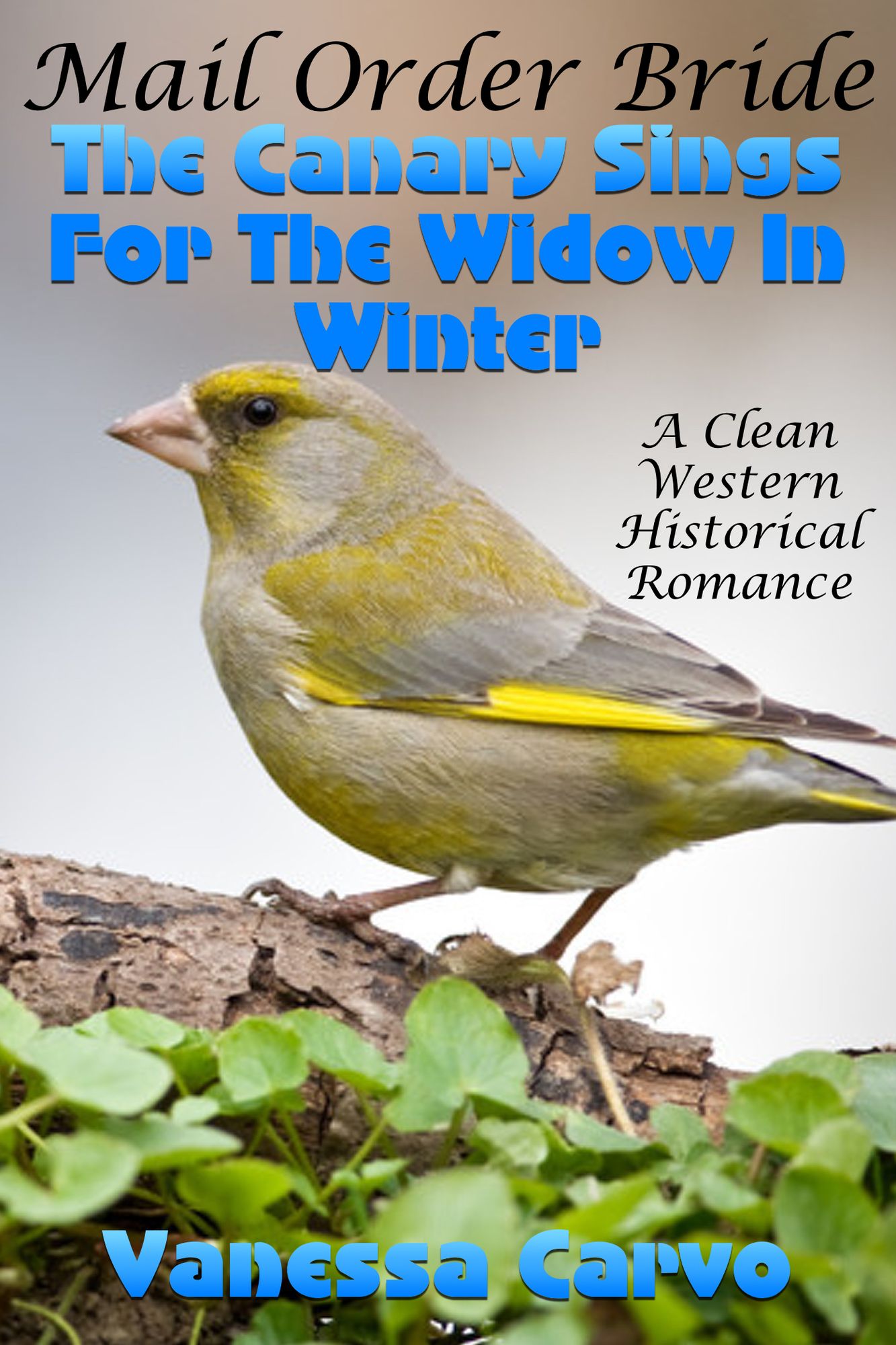 Mail Order Bride: The Canary Sings For The Widow In Winter (A Clean Western Historical Romance)