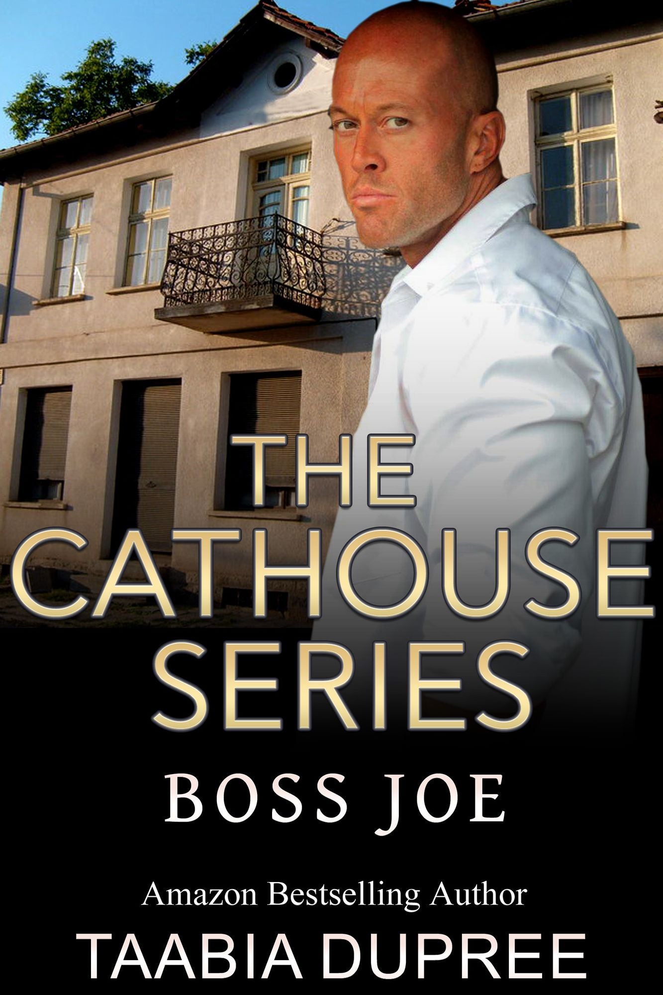The Cathouse Series-Book II: Boss Joe