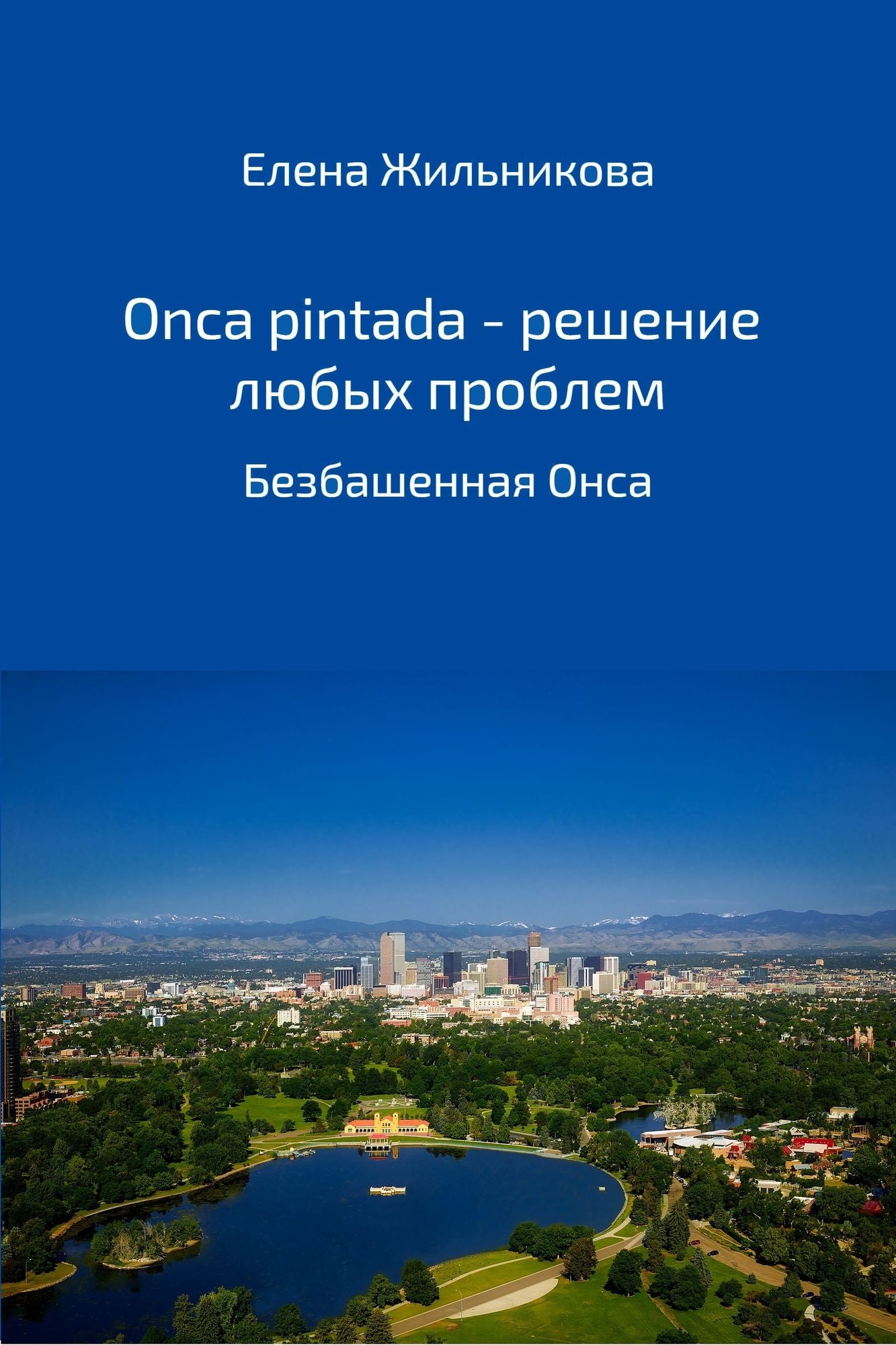 Onça Pintada - solution to any problem (In Russian)