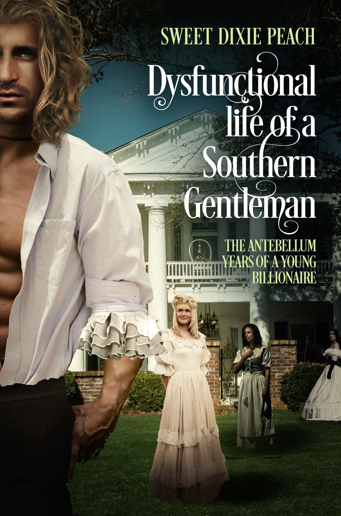 Dysfunctional Life of a Southern Gentleman Vol 1. The Antebellum years of a Young Billionaire