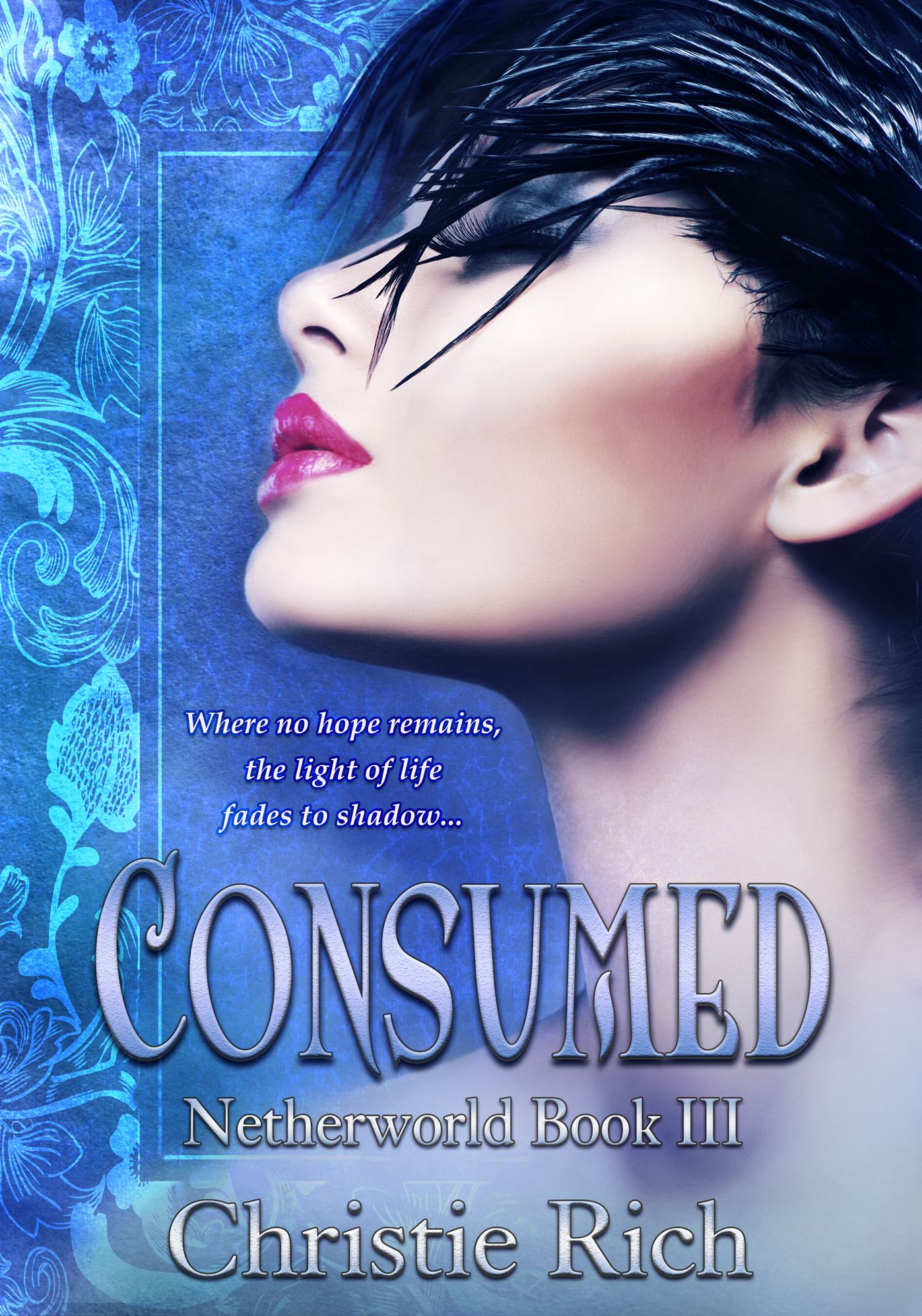Consumed (Netherworld Book III)