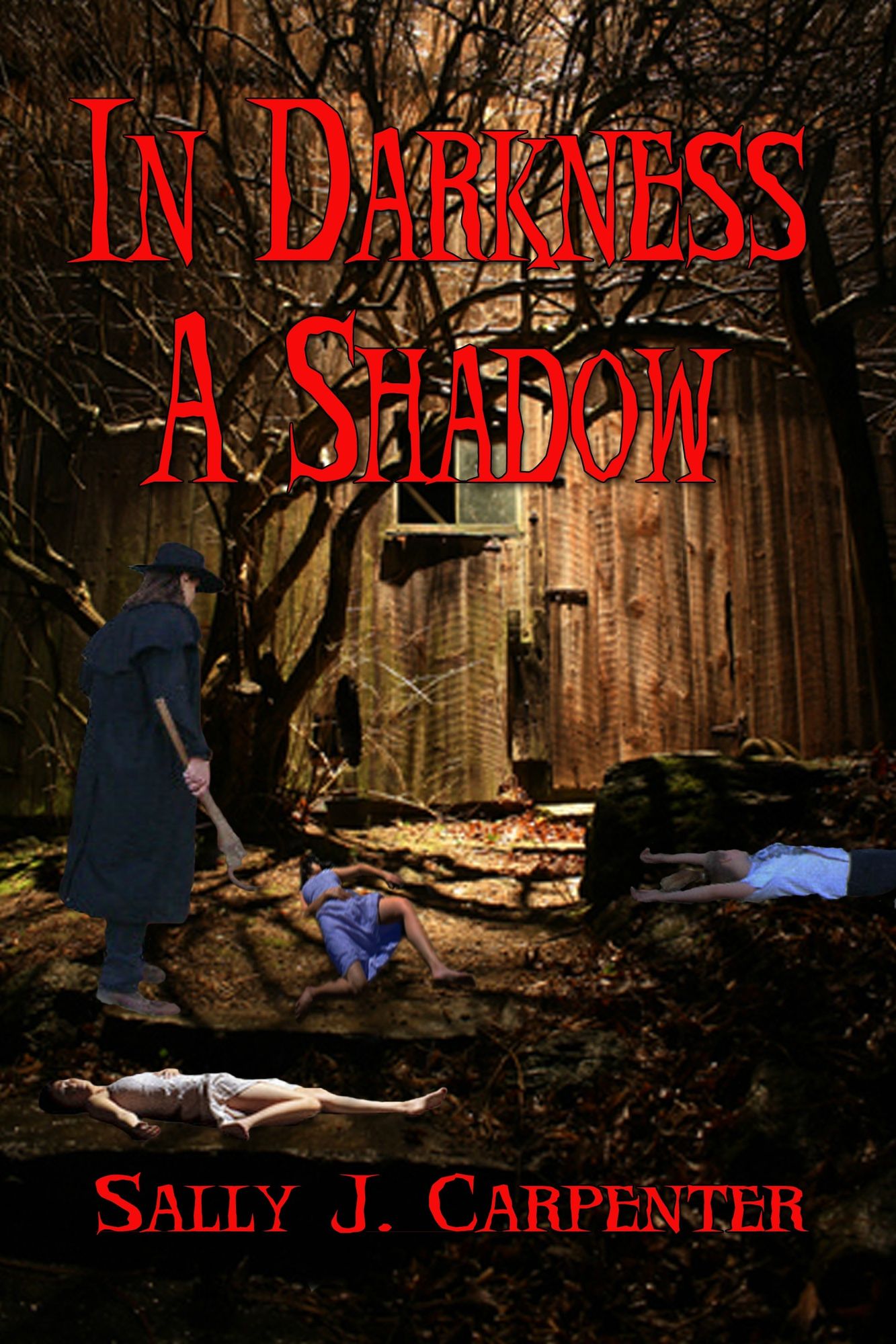 In Darkness, A Shadow