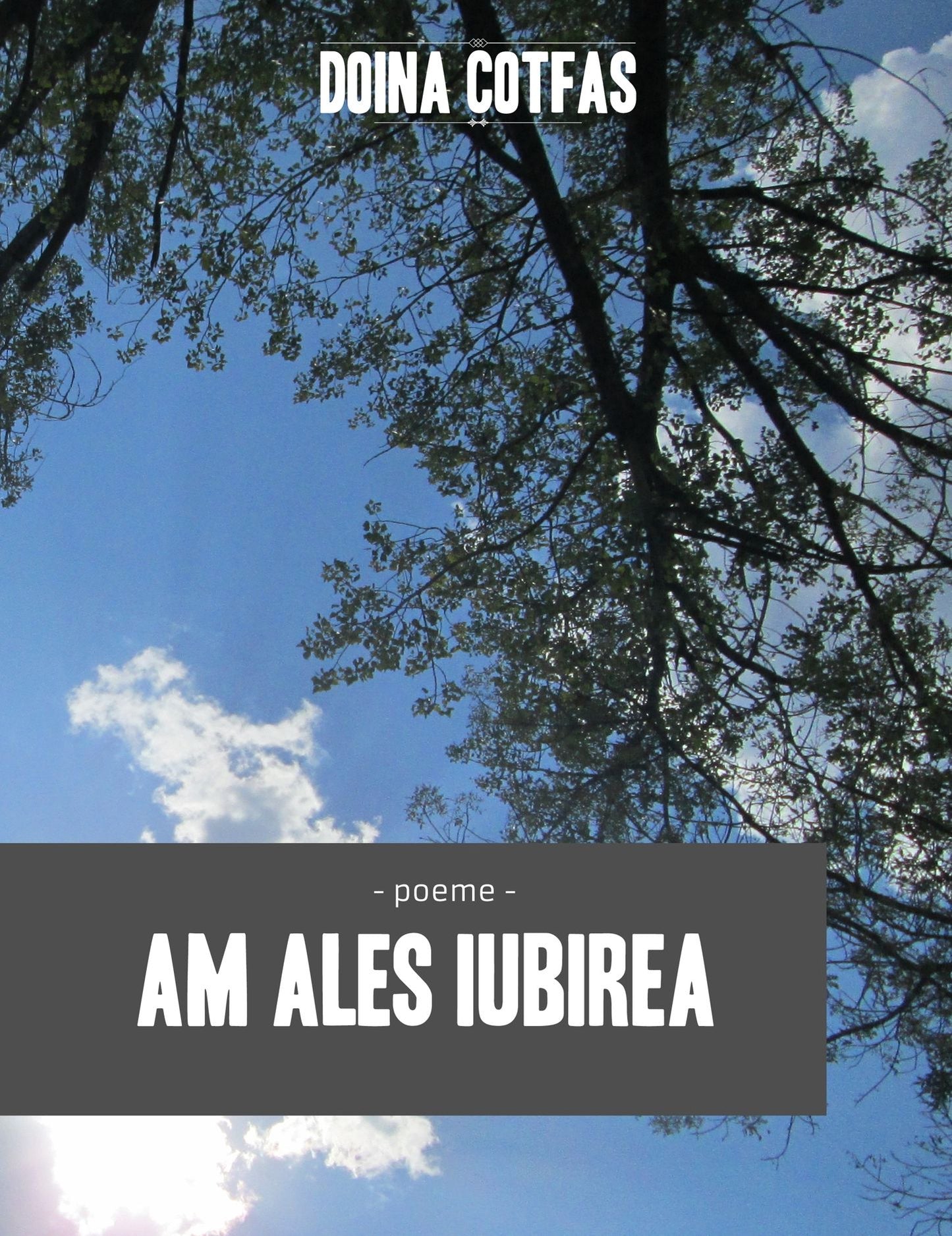 Am ales iubirea: Poeme
