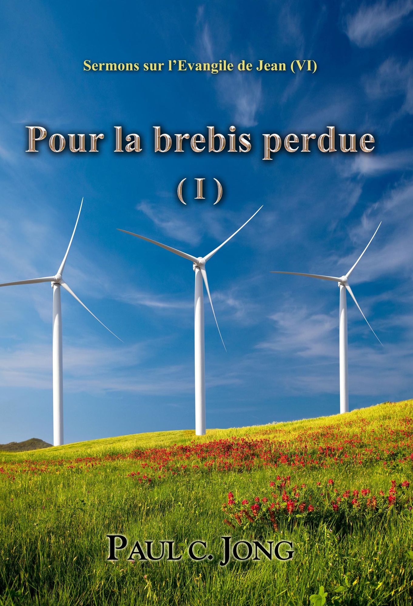 Sermons sur l'Evangile de Jean (VI) - Pour la brebis perdue ( I )
