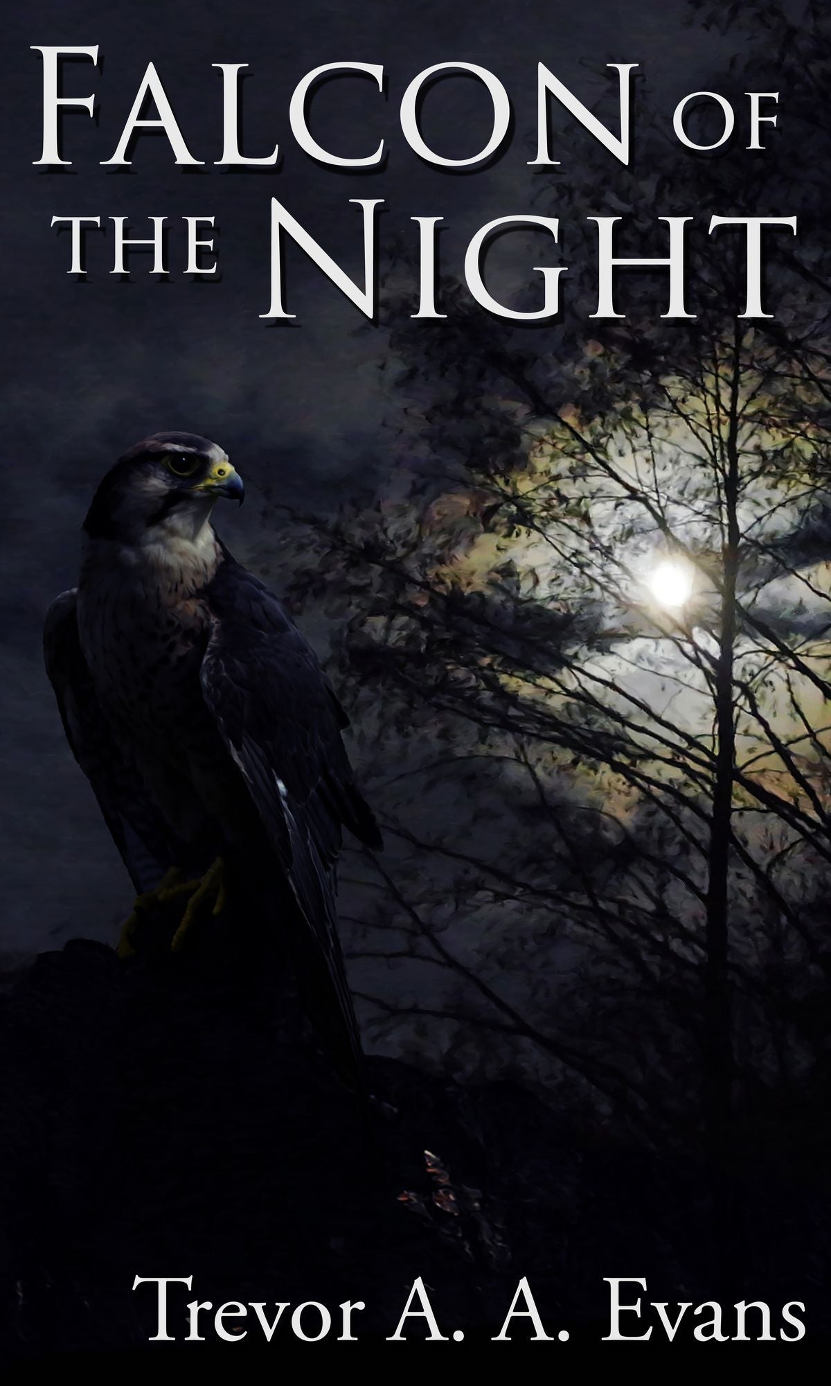 Falcon of the Night