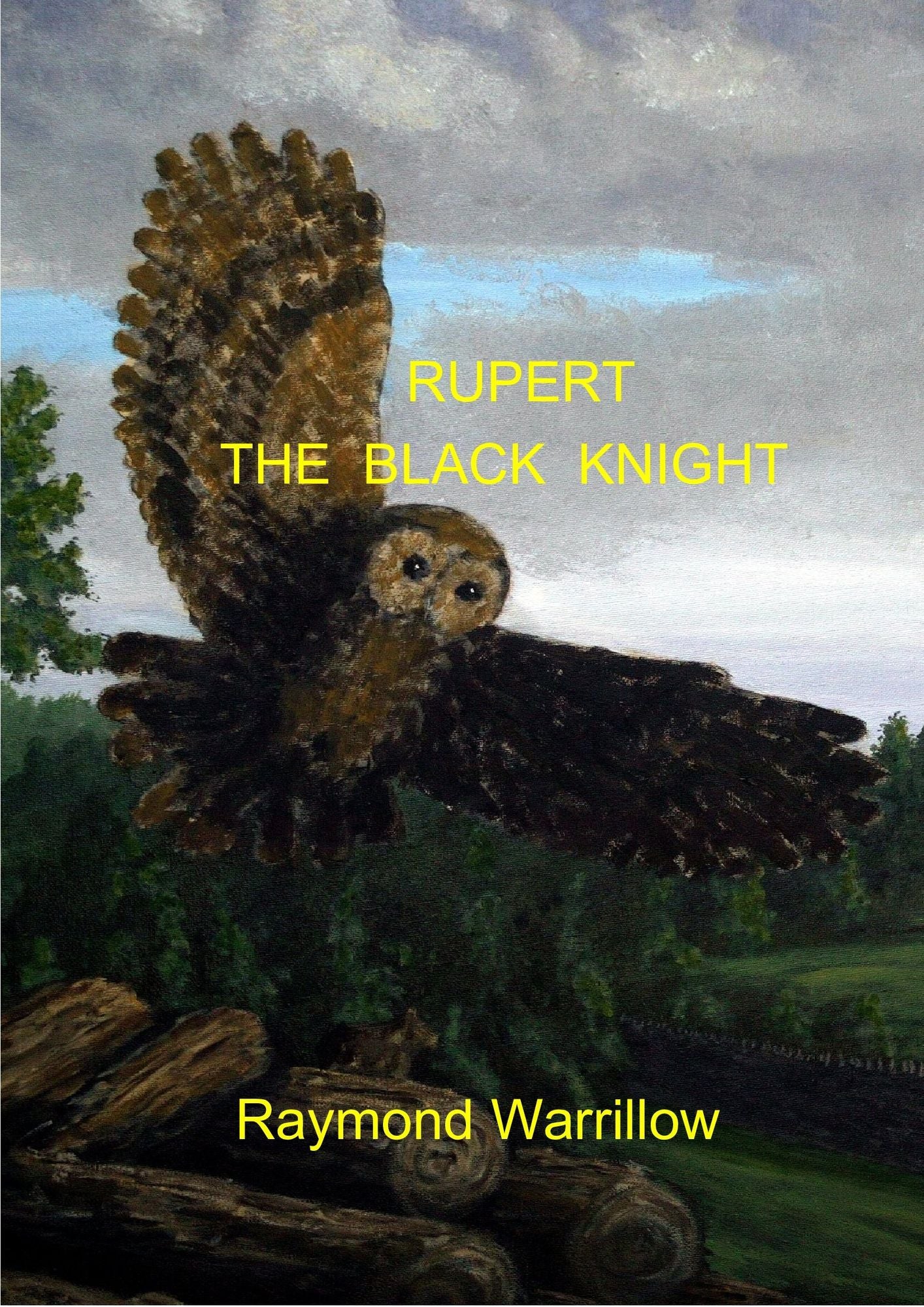 Rupert The Black Knight