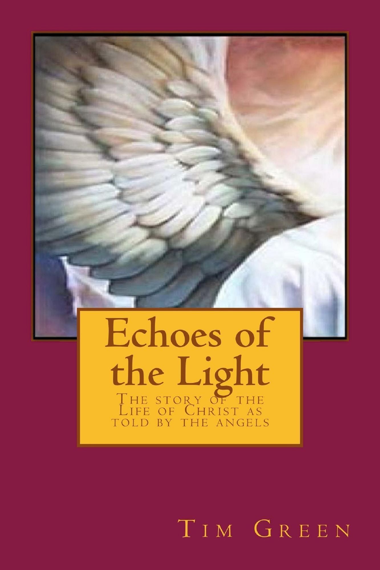 Echoes of the Light: The Story of the Life of Jesus Christ as told by the Angels.