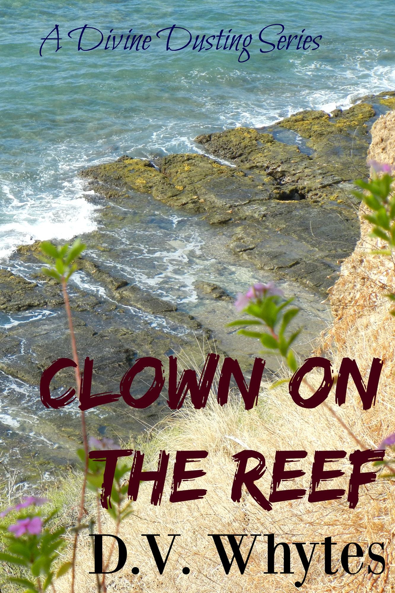 Clown on the Reef