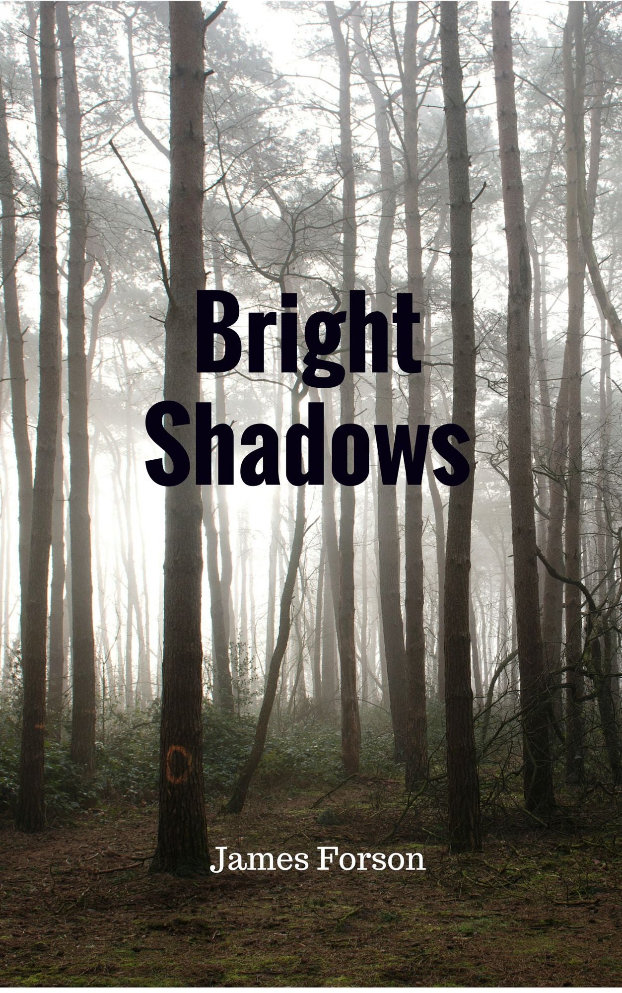 Bright Shadows