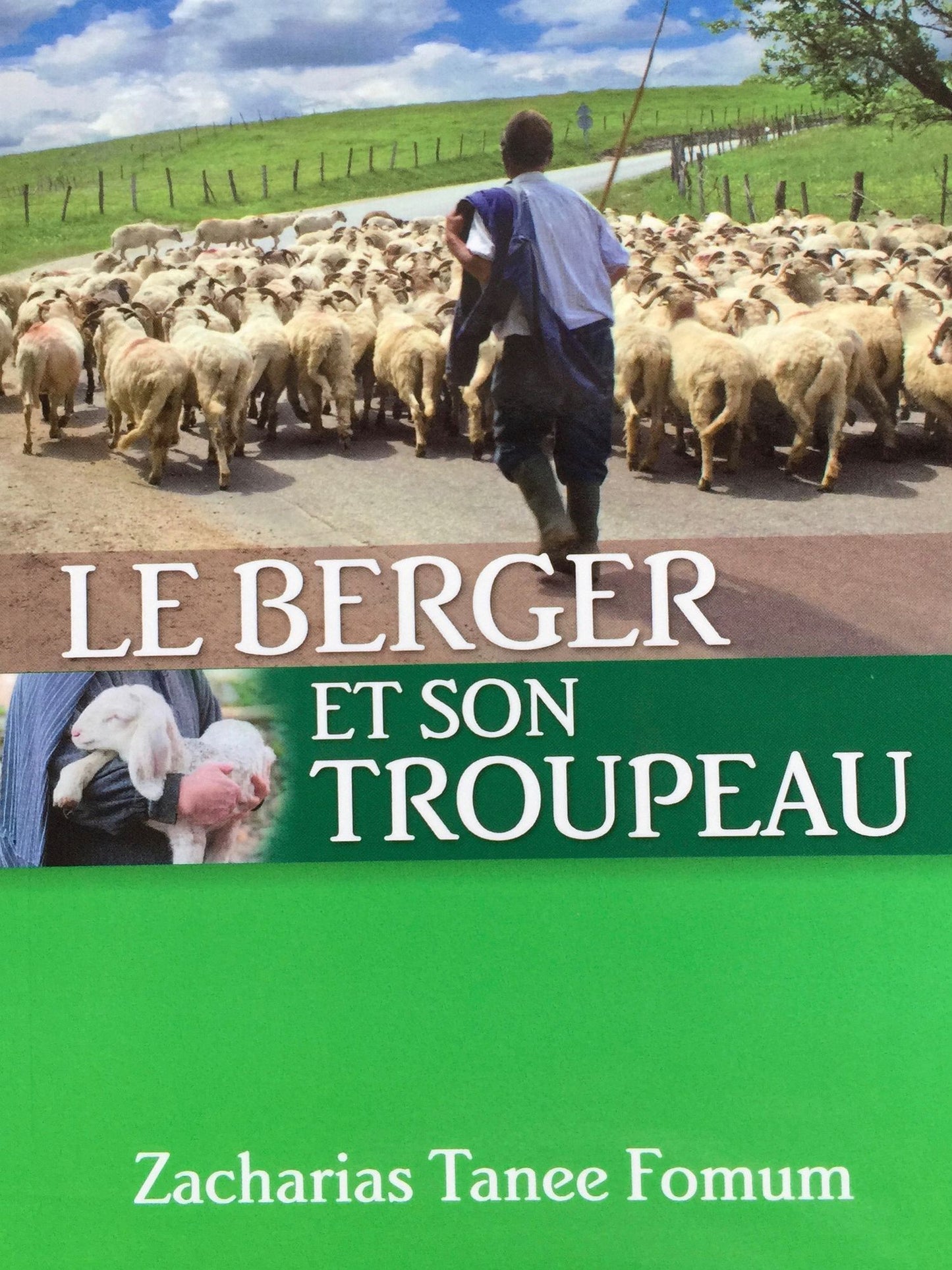Le Berger et Son Troupeau