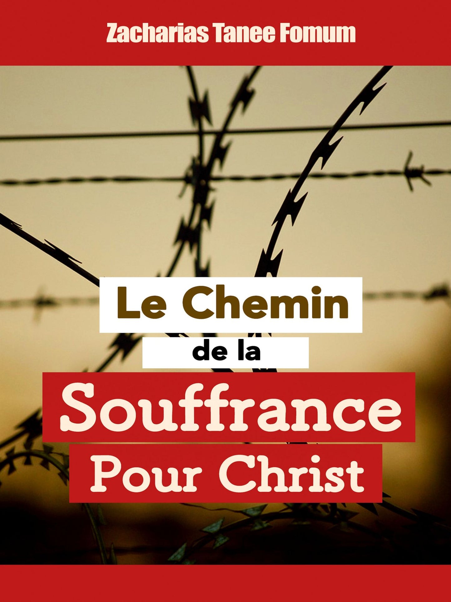 Le chemin de la souffrance pour Christ