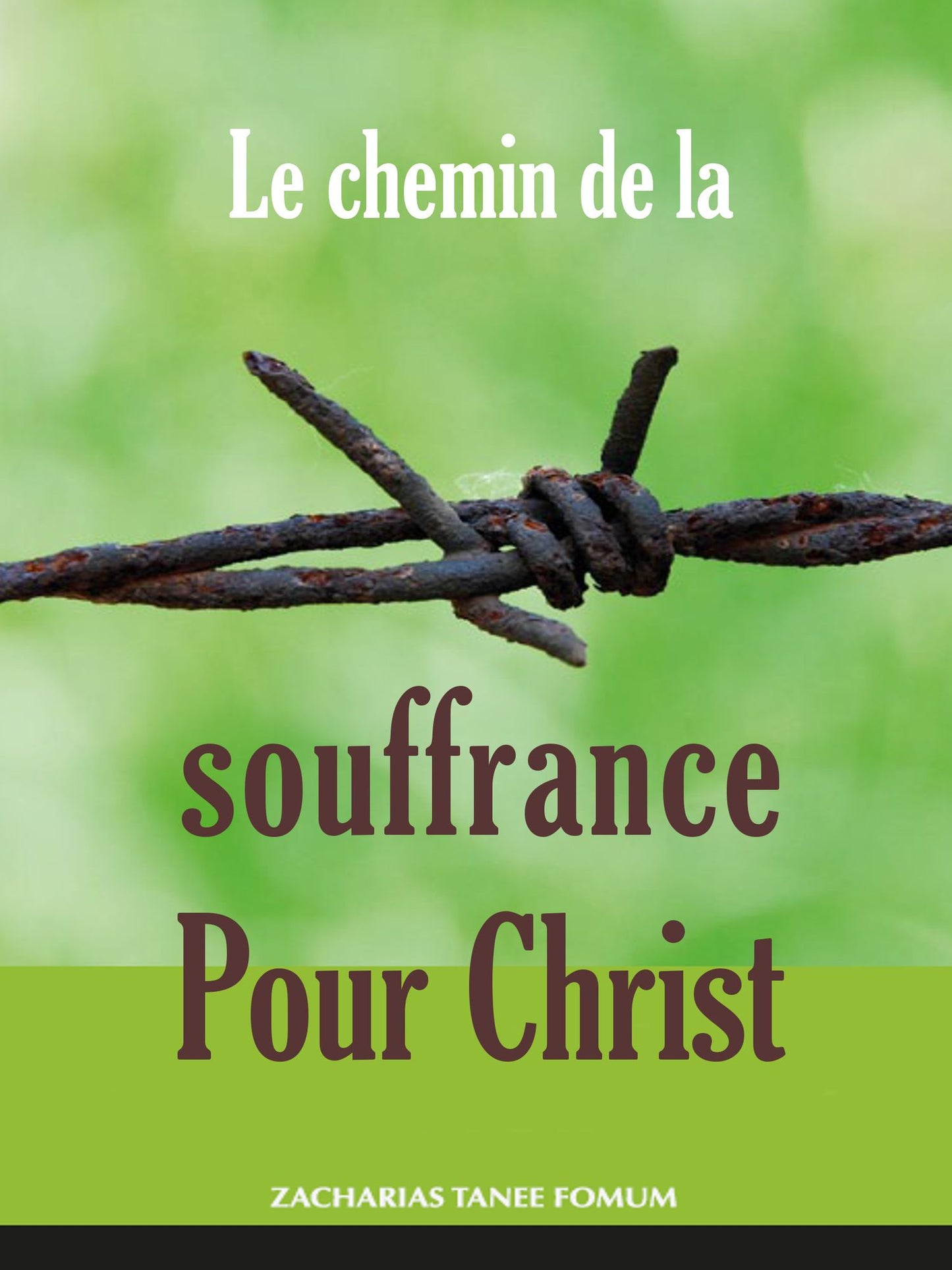 Le chemin de la souffrance pour Christ