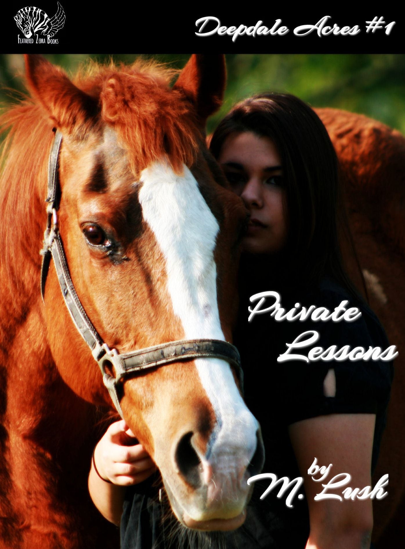 Private Lessons