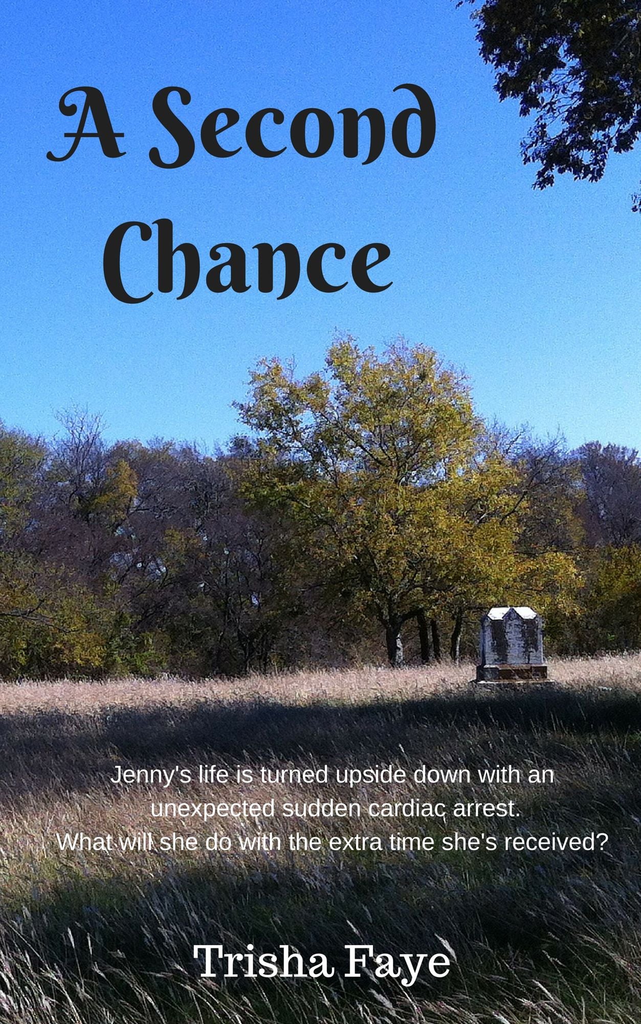 A Second Chance