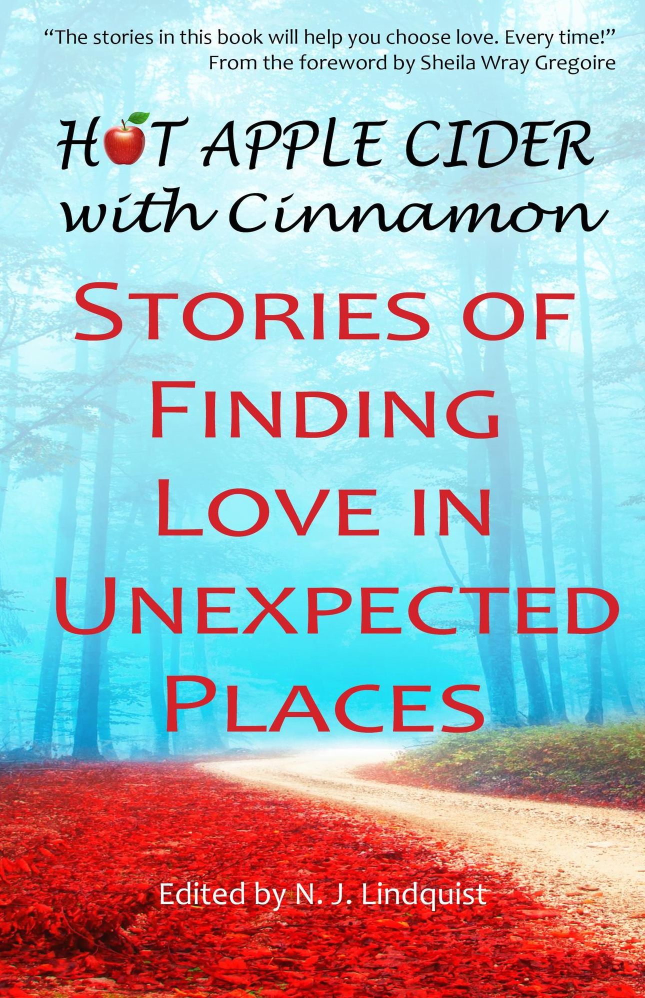 Hot Apple Cider with Cinnamon: Stories of Finding Love in Unexpected Places