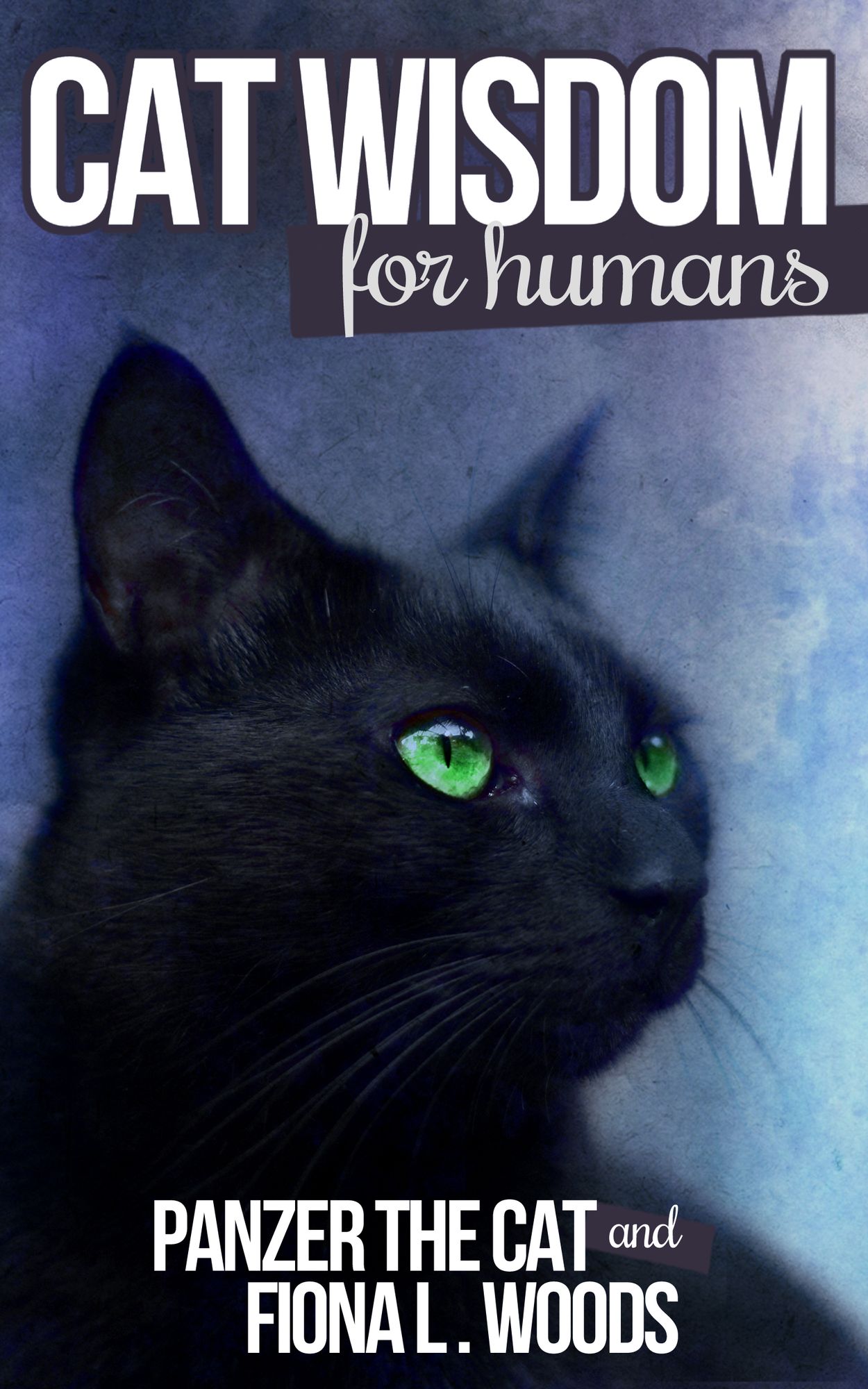Cat Wisdom for Humans