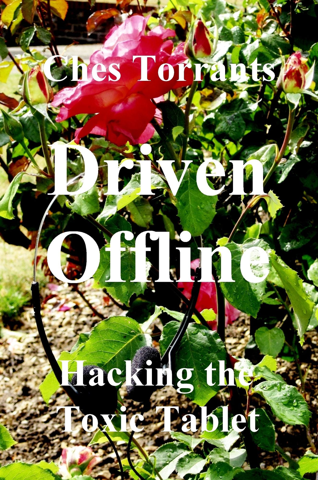 Driven Offline