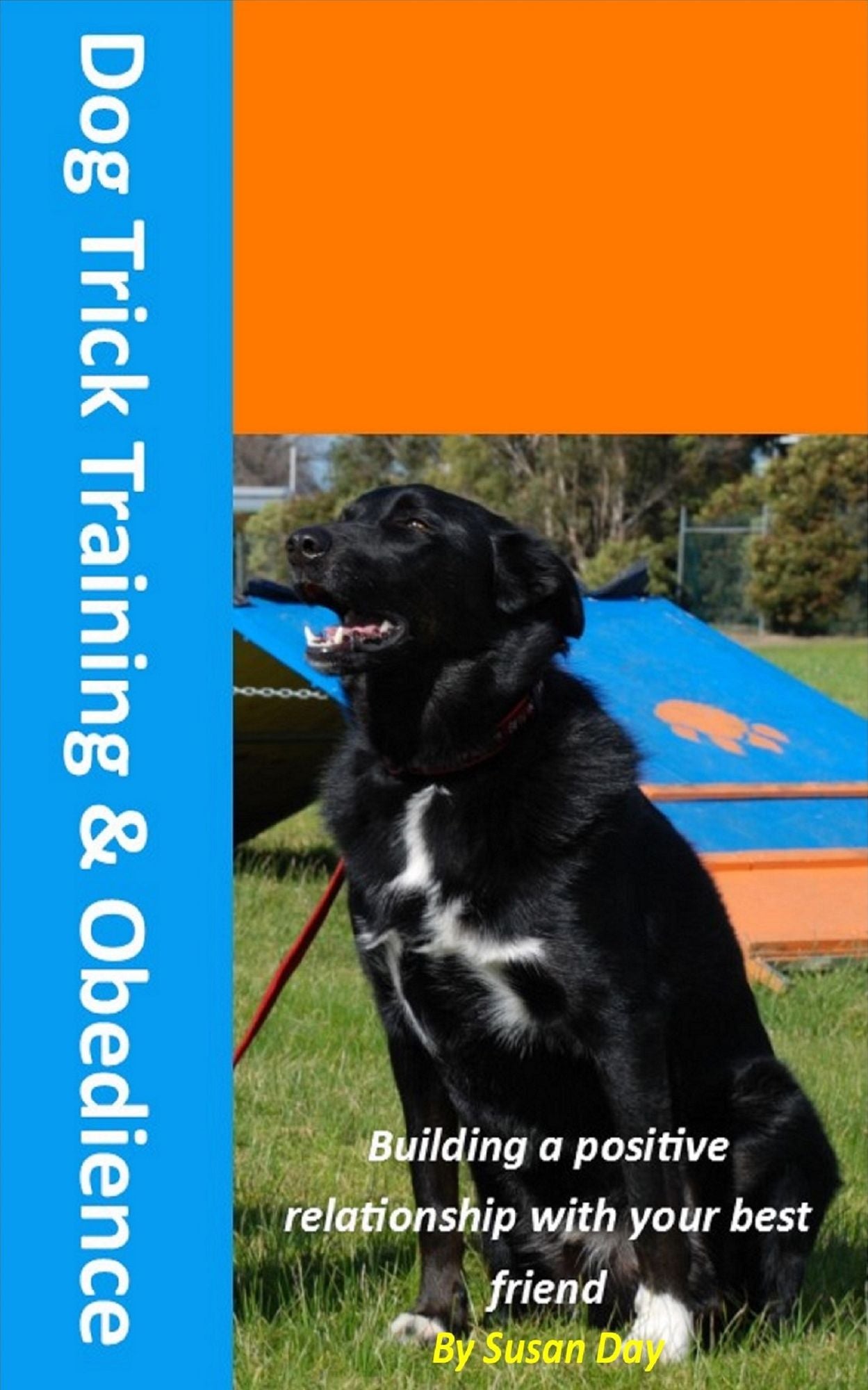 Dog Trick Training and Obedience