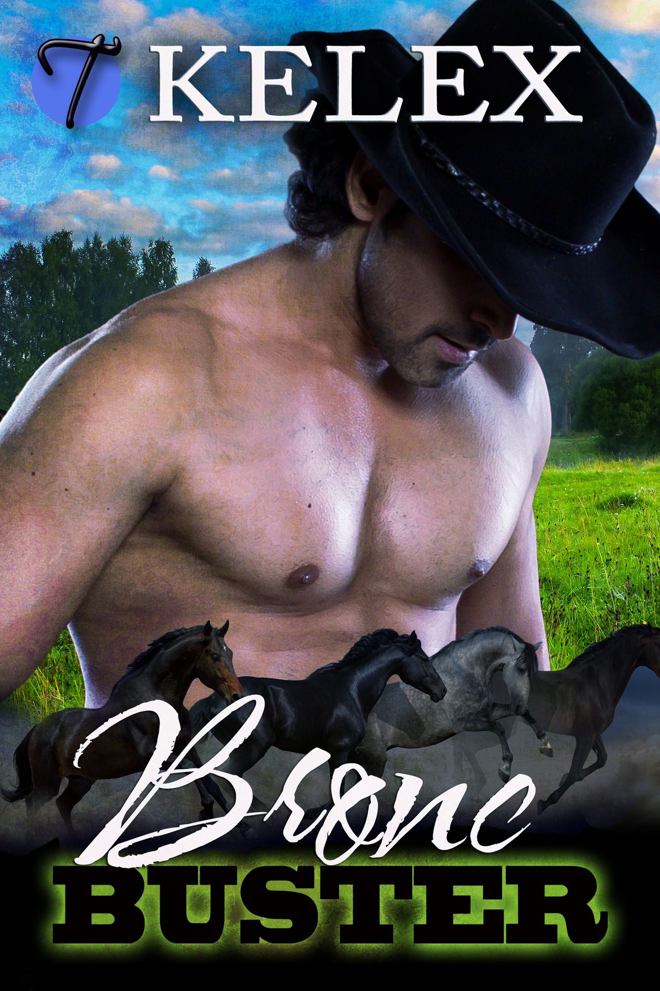 Bronc Buster