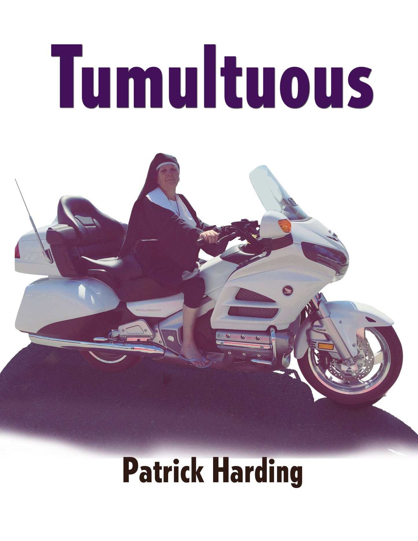 Tumultuous Part One:: A Teen's Further Adventures in Nazi America