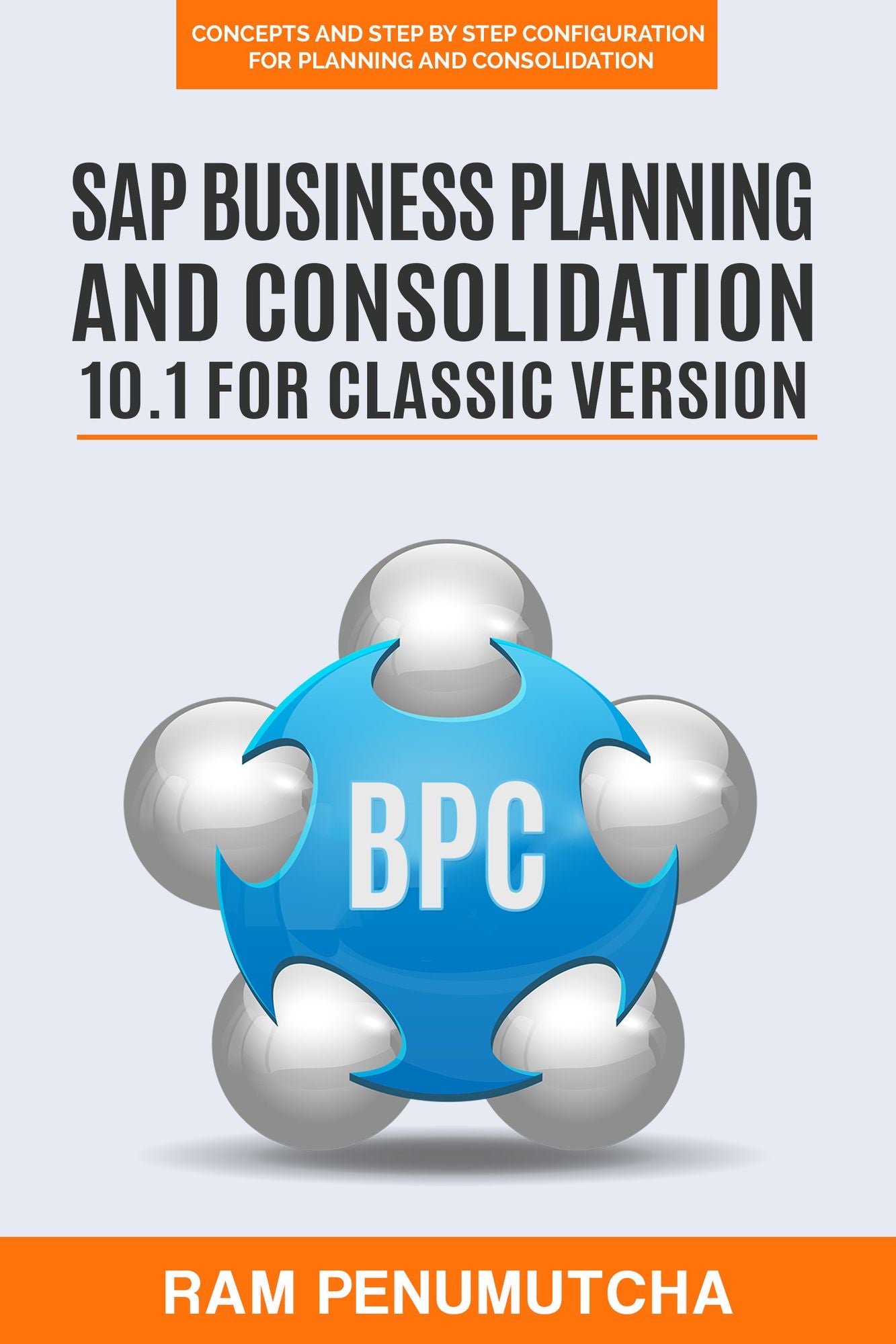 SAP Business Planning and Consolidation 10.1 for Classic Version