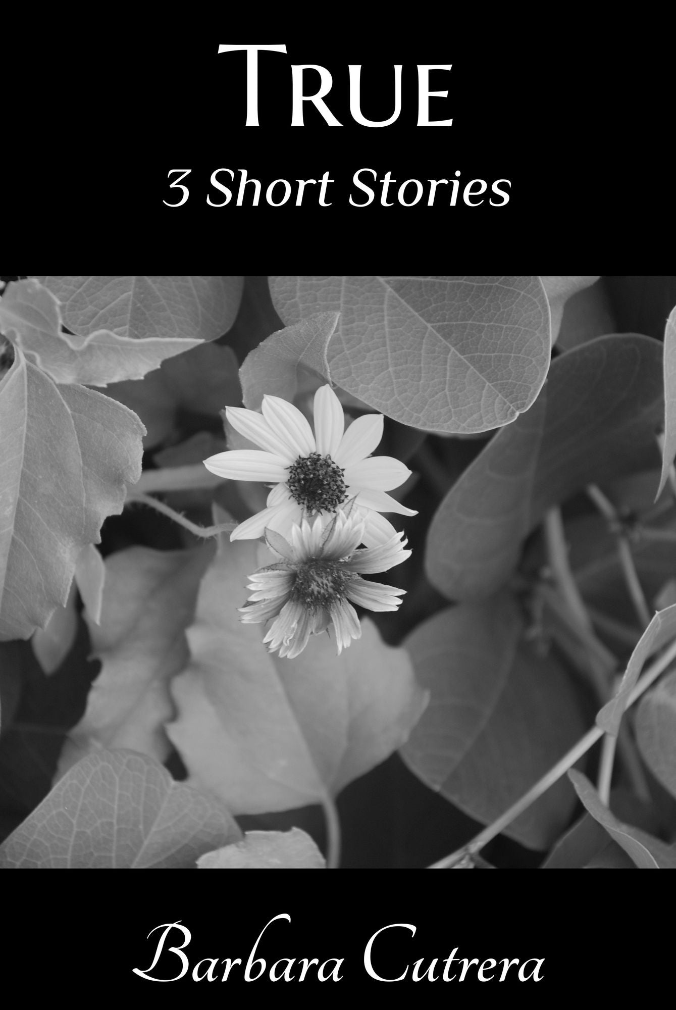True: 3 Short Stories