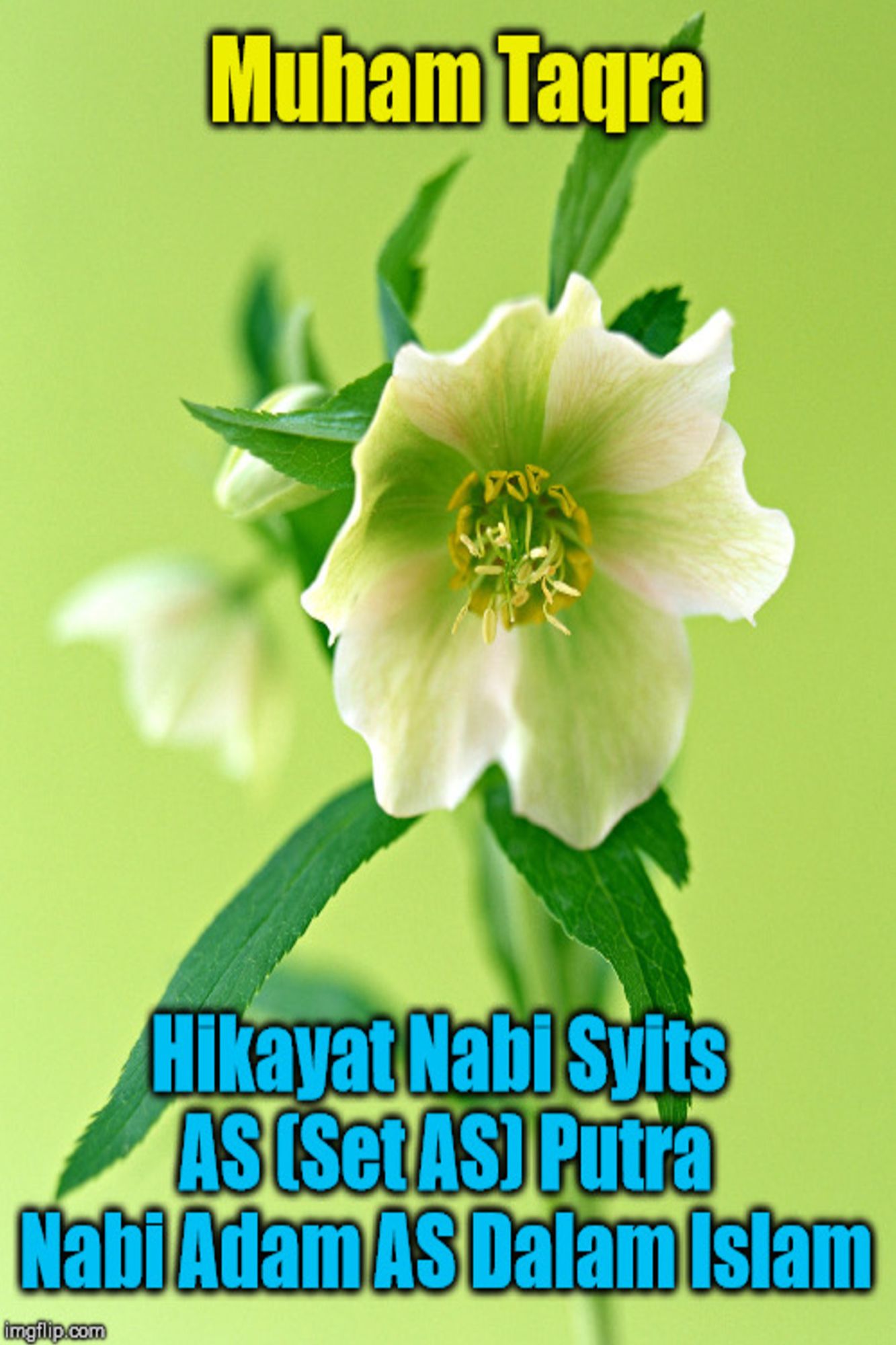 Hikayat Nabi Syits AS (Set AS) Putra Nabi Adam AS Dalam Islam