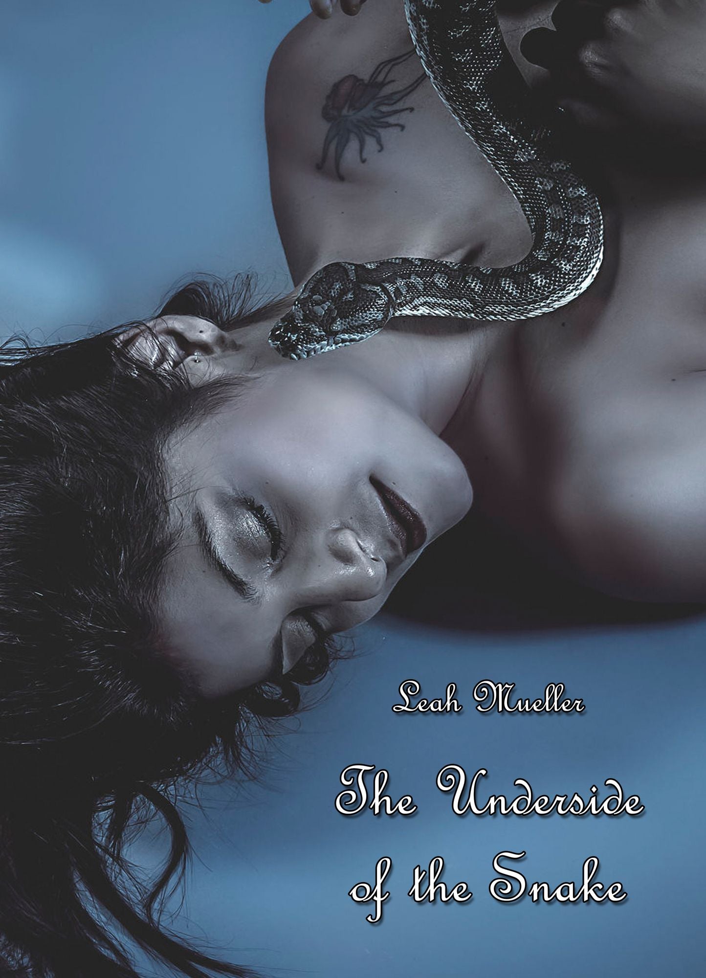 The Underside of the Snake