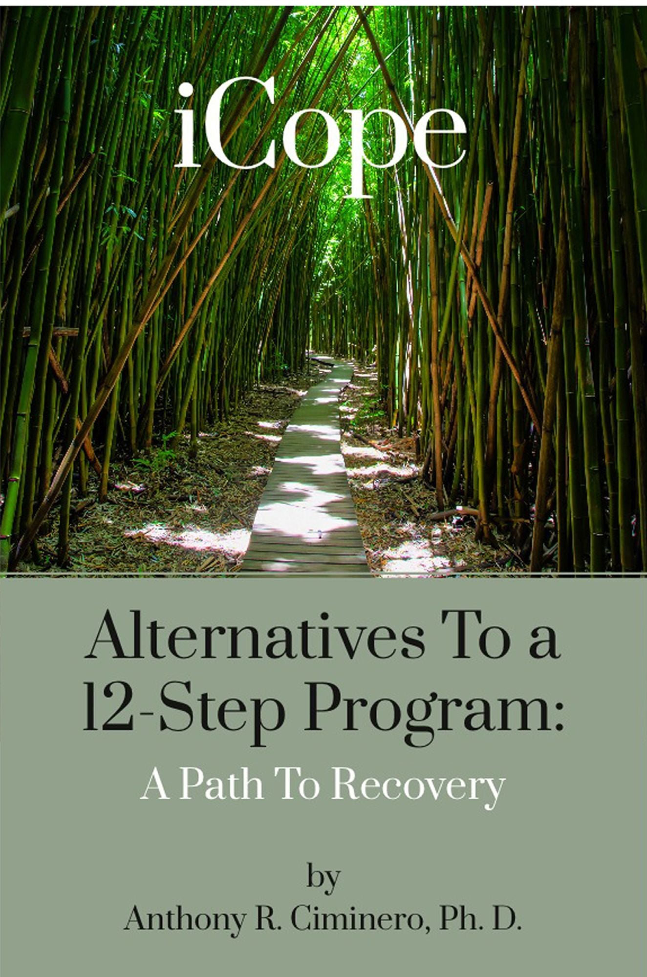 iCope: Alternatives To A 12-Step Program: A Path To Recovery