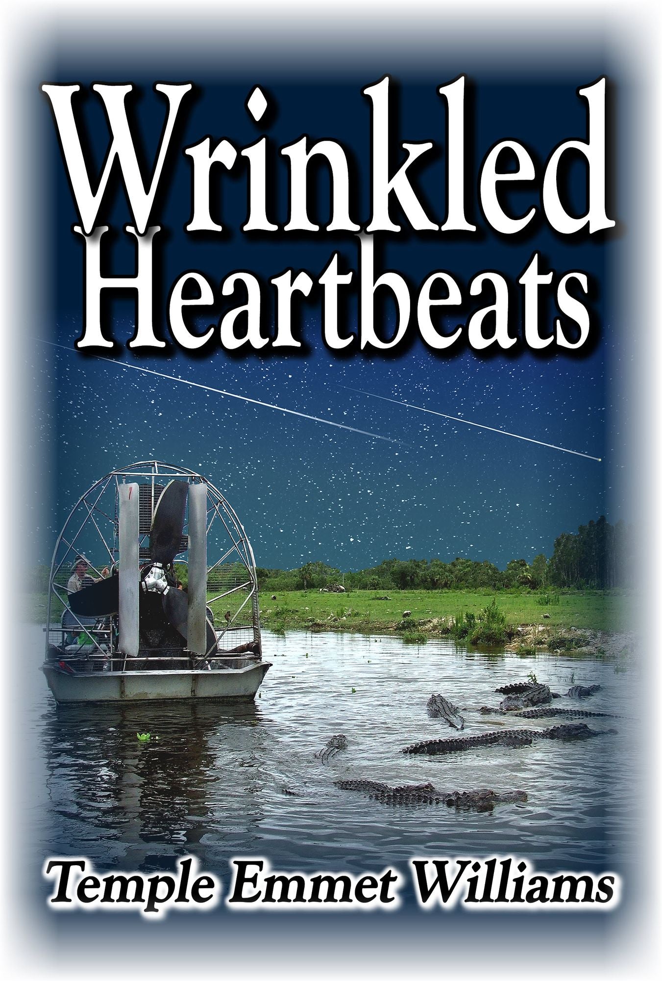 Wrinkled Heartbeats: A Novel
