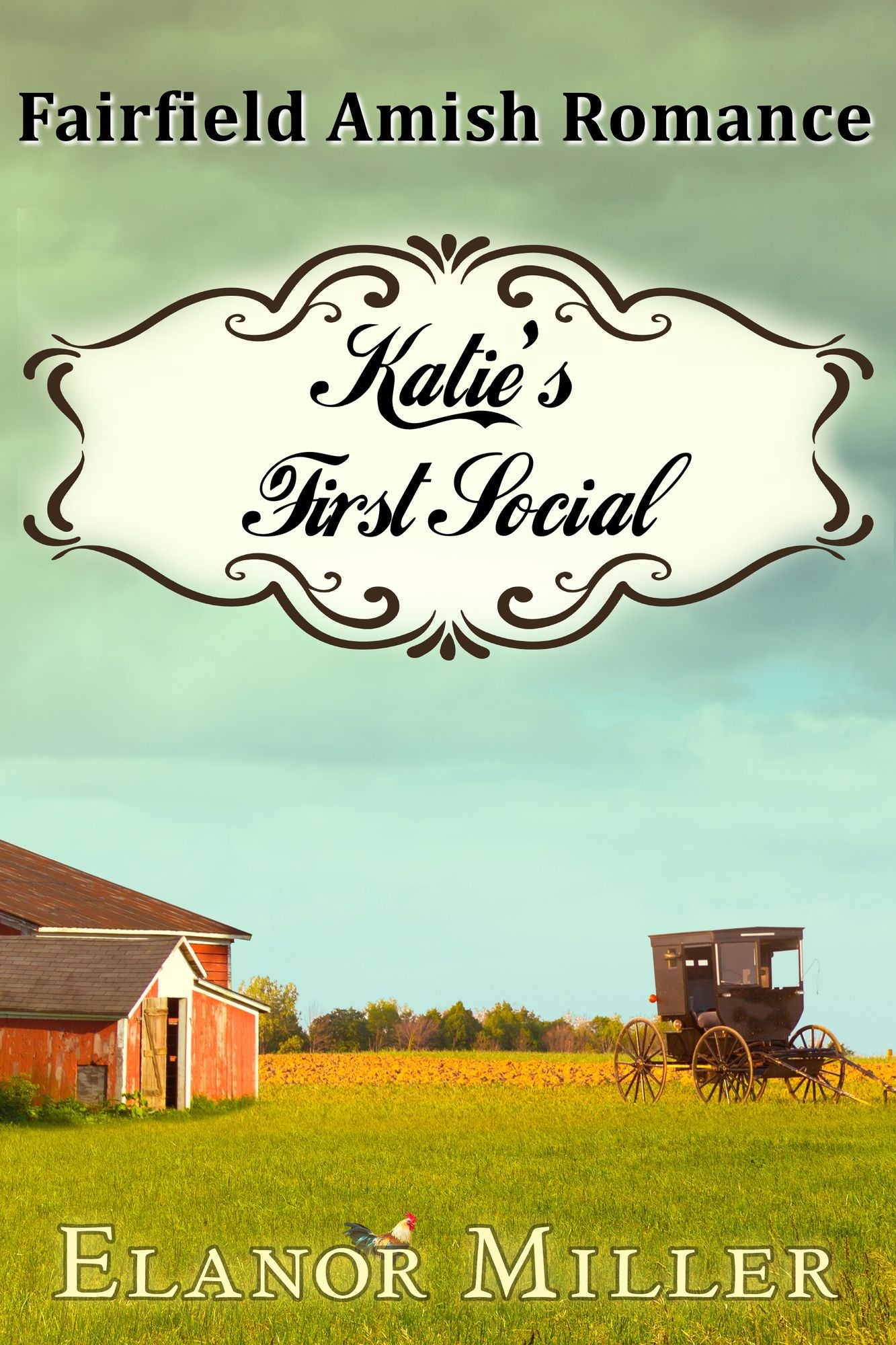 Fairfield Amish Romance: Katie's First Social