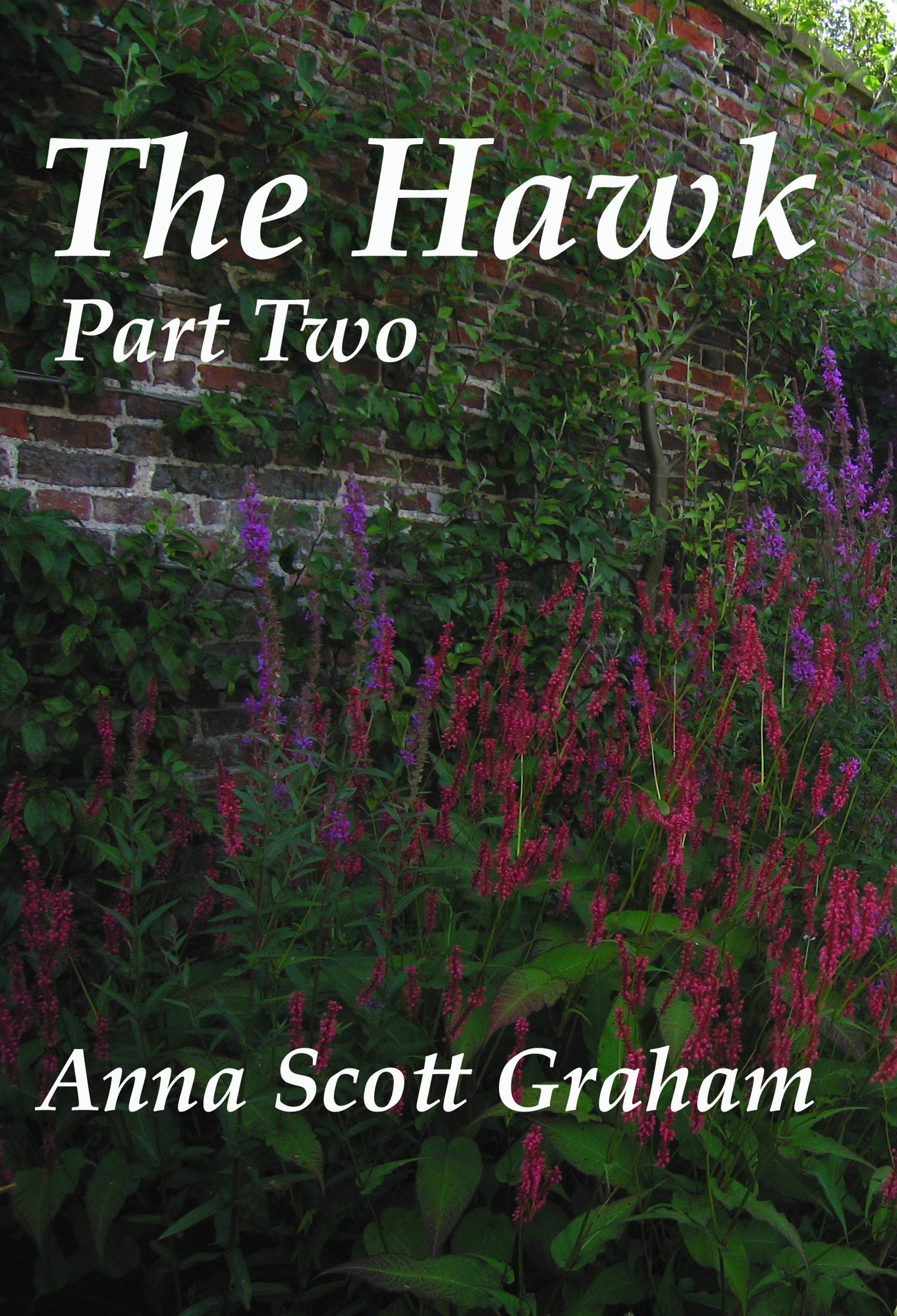 The Hawk: Part Two