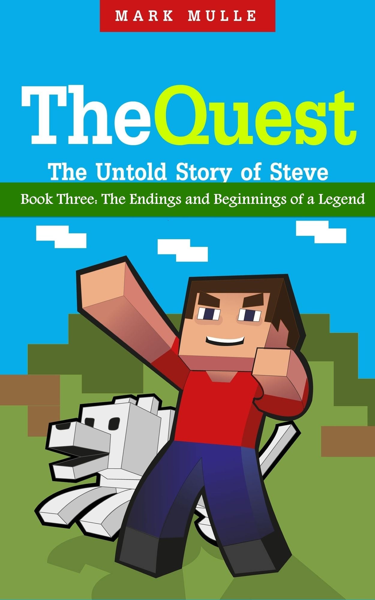 The Quest: The Untold Story of Steve, Book Three - The Endings and Beginnings of a Legend