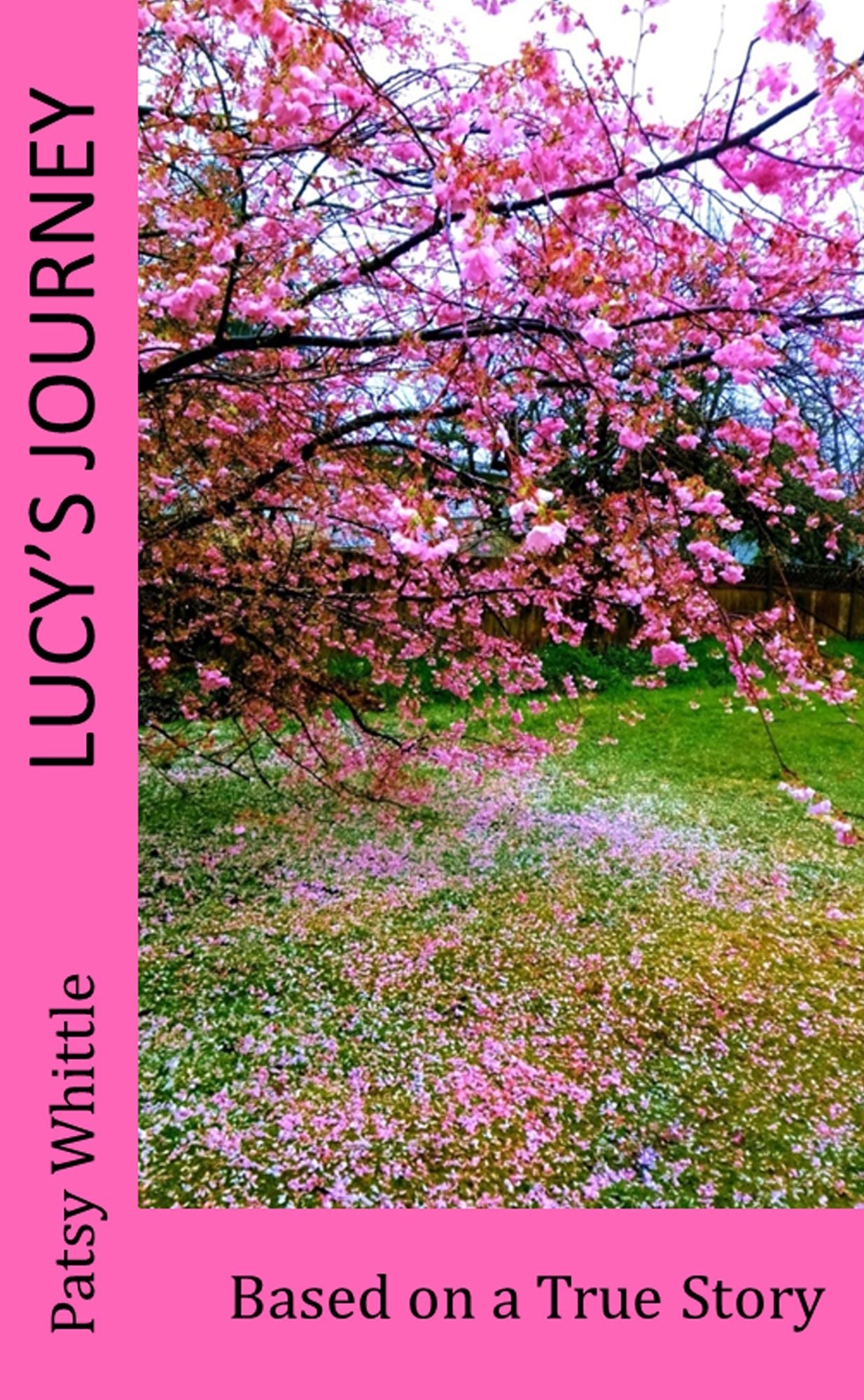 Lucy's Journey