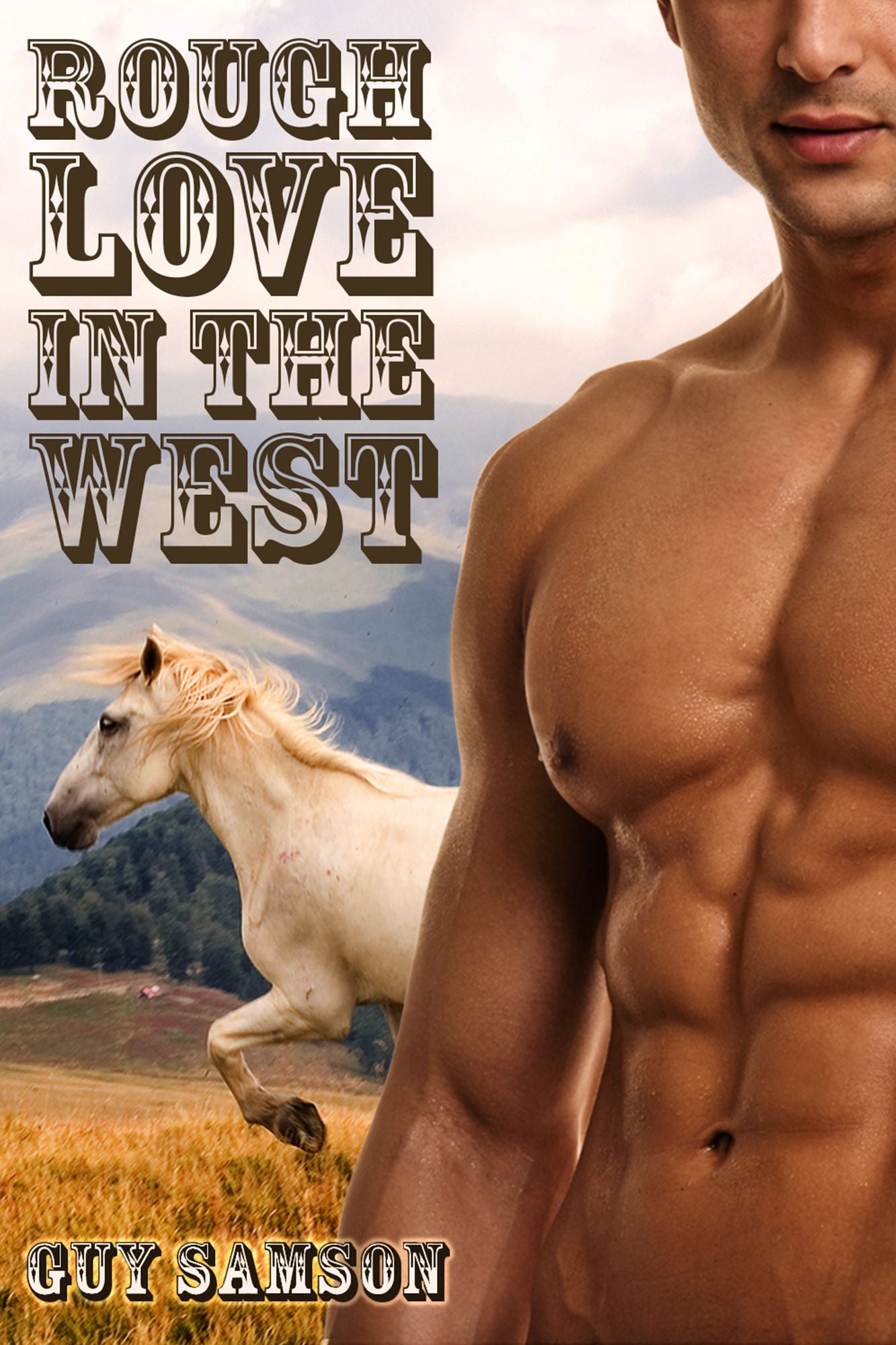Rough Love In the West (Gay Western Erotica)