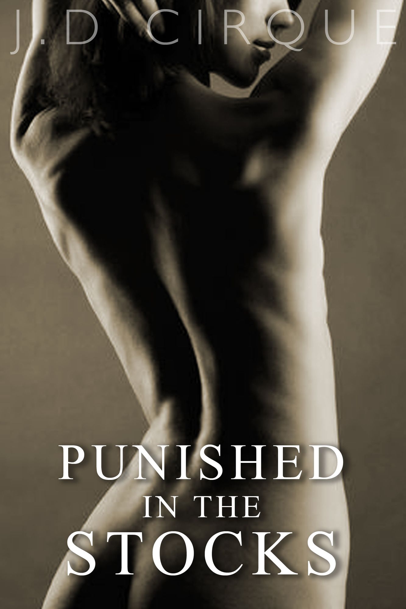 Punished In The Stocks (Pillory Menage Erotica)