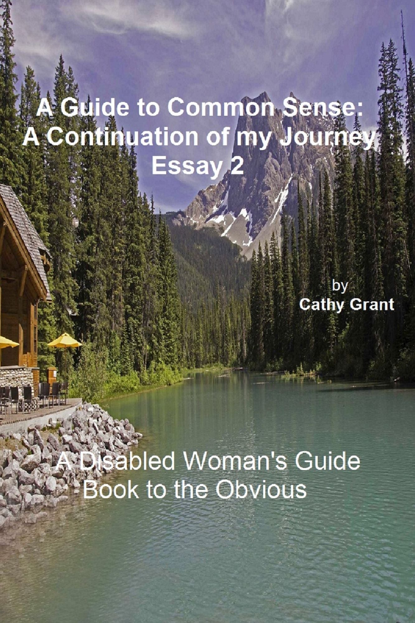 A Guide to Common Sense: A Disabled Woman's Perspective