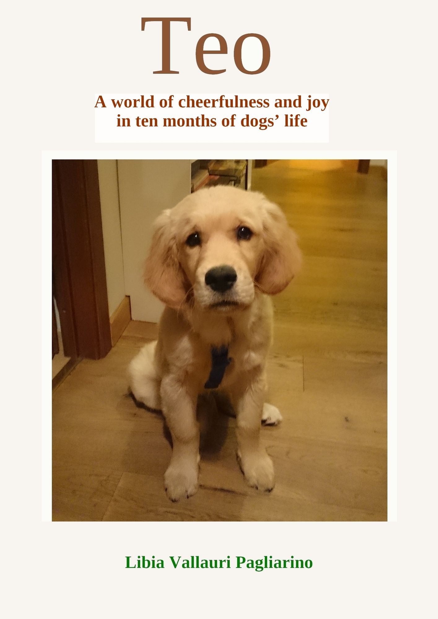 Teo. A world of cheerfulness and joy in ten months of dogs' life