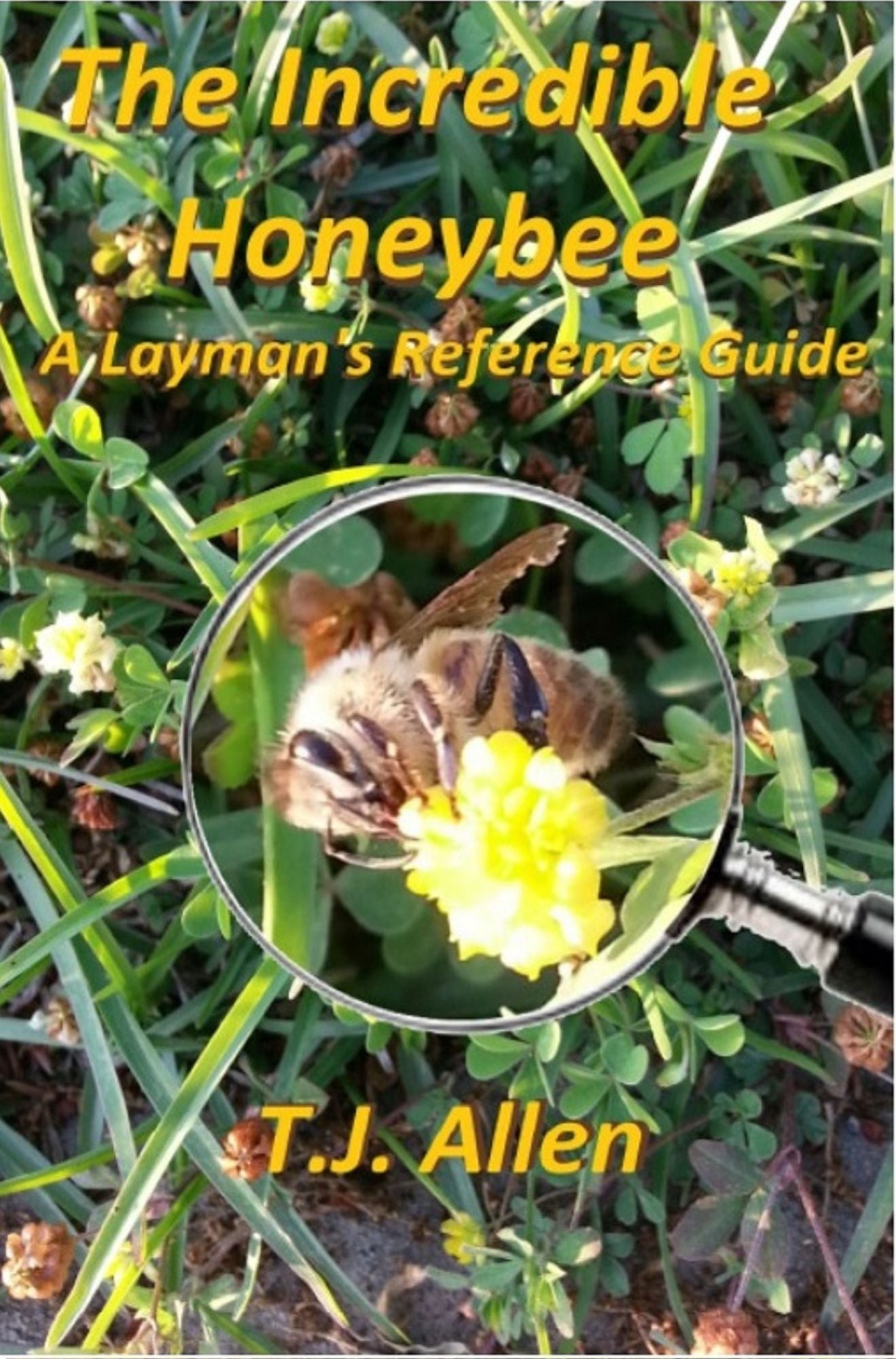 The Incredible Honeybee: A Layman's Reference Guide
