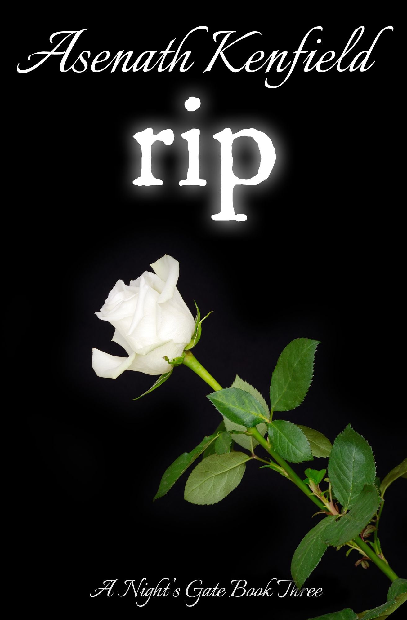 Rip (Night's Gate Series, Book 3)
