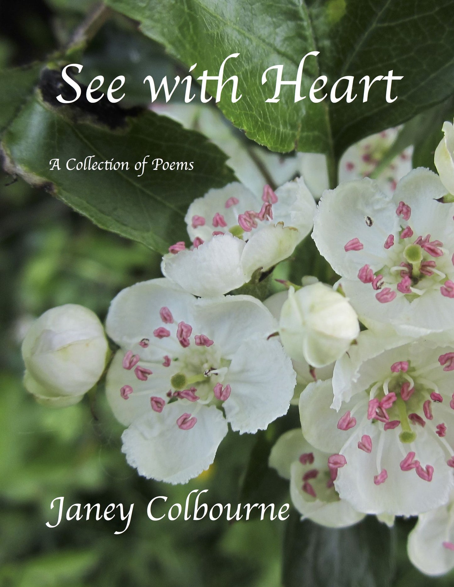 See with Heart