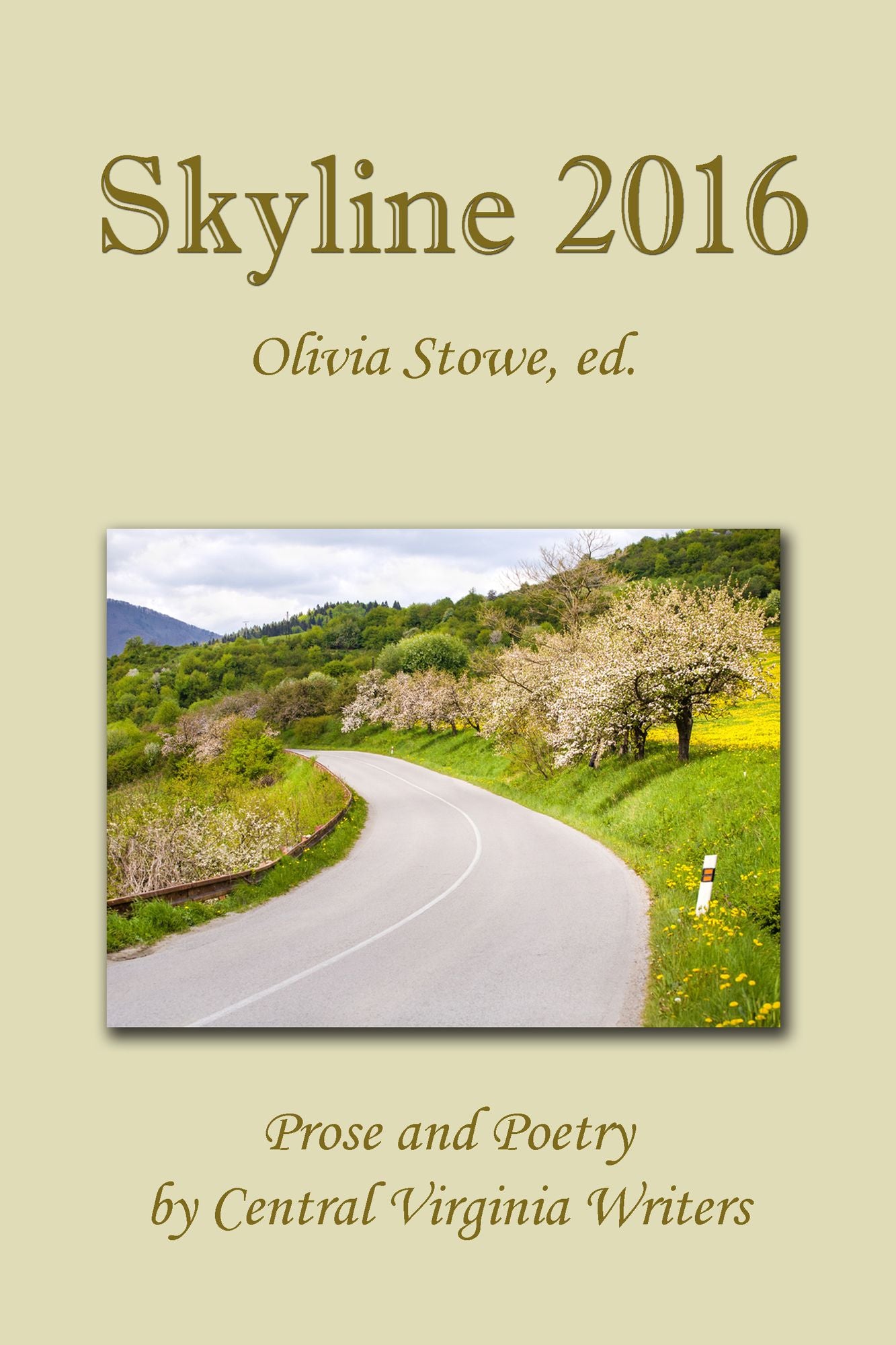 Skyline 2016
