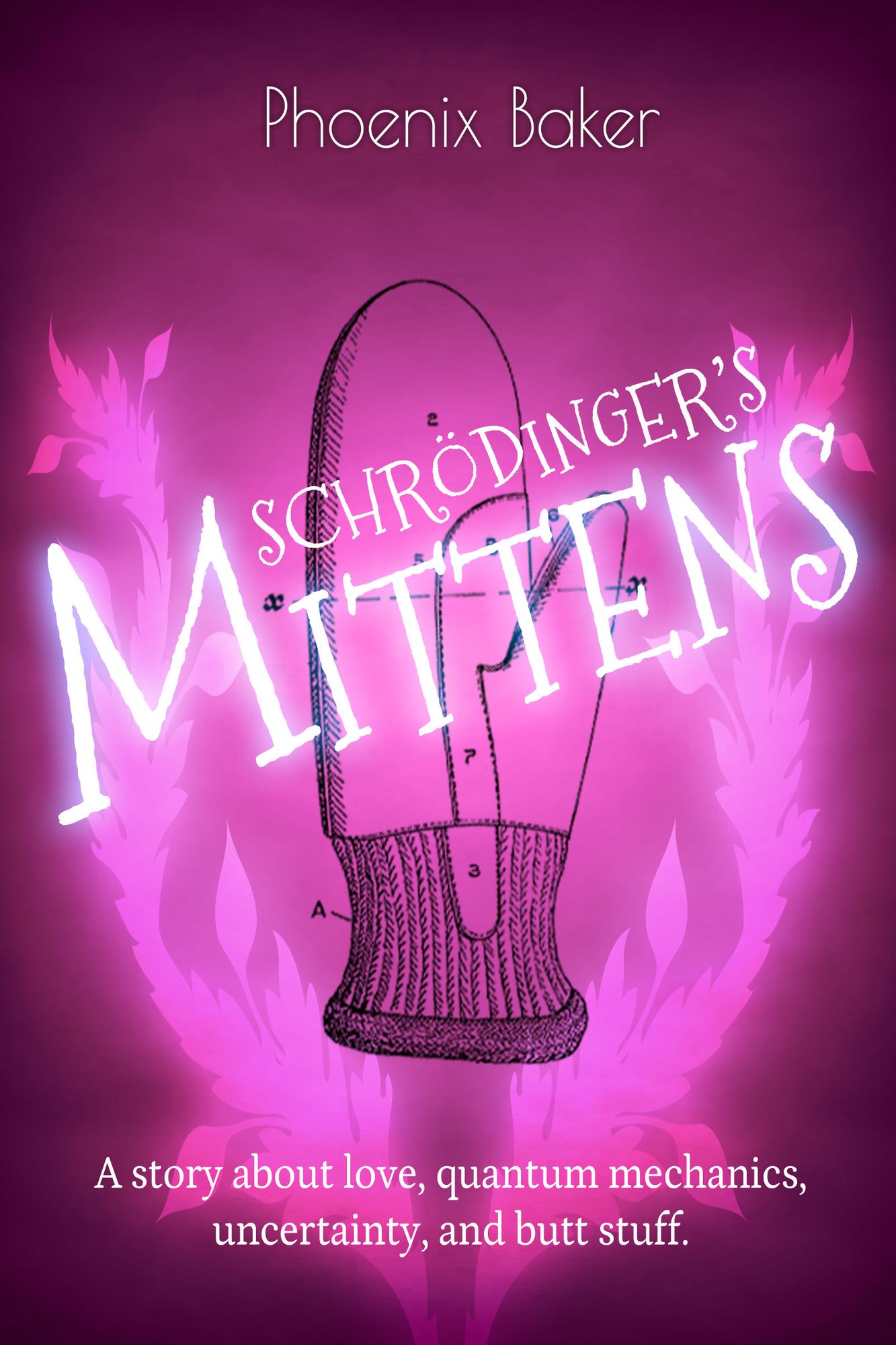 SchrÃ¶dinger's Mittens