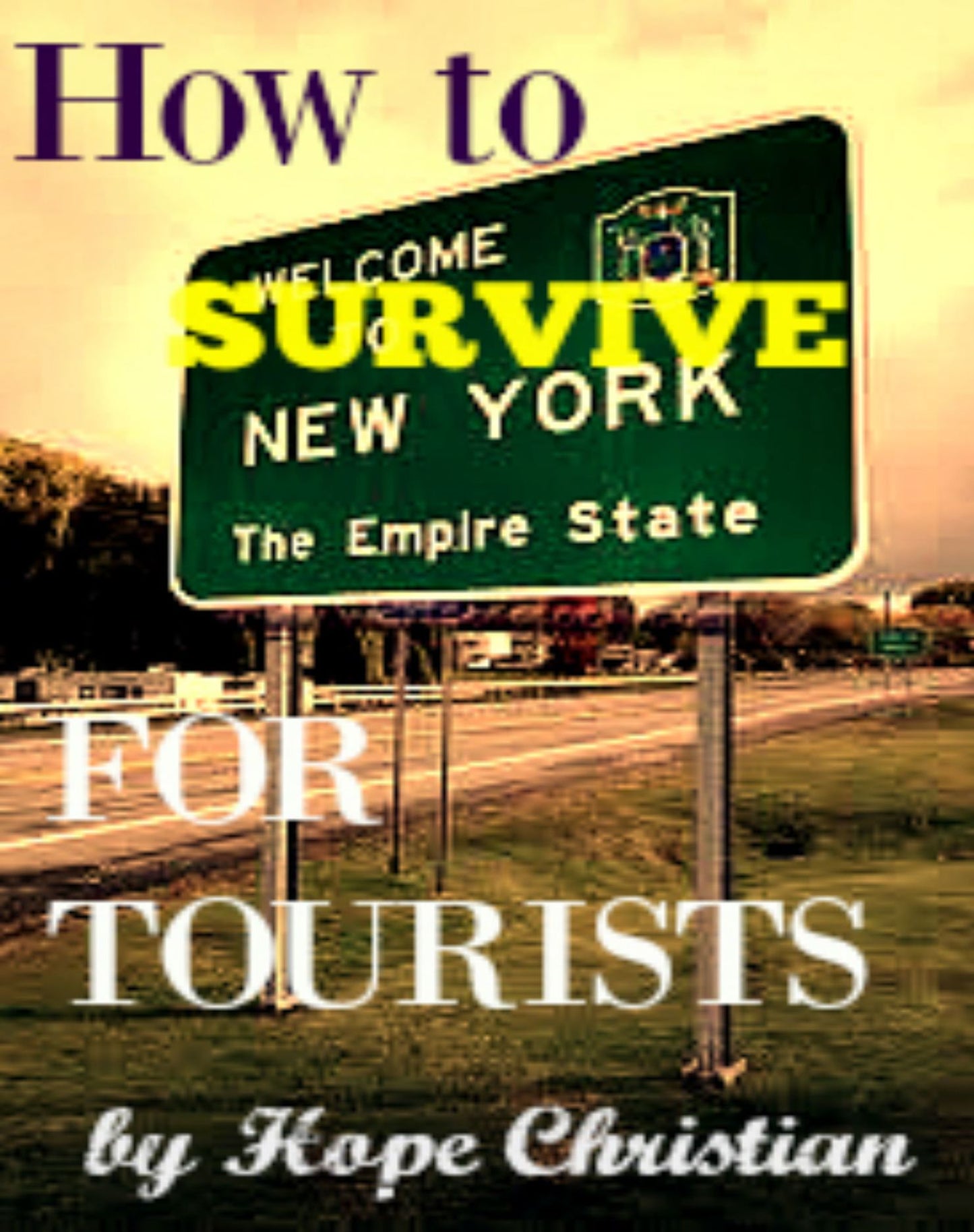 How to Survive New York City for Tourists