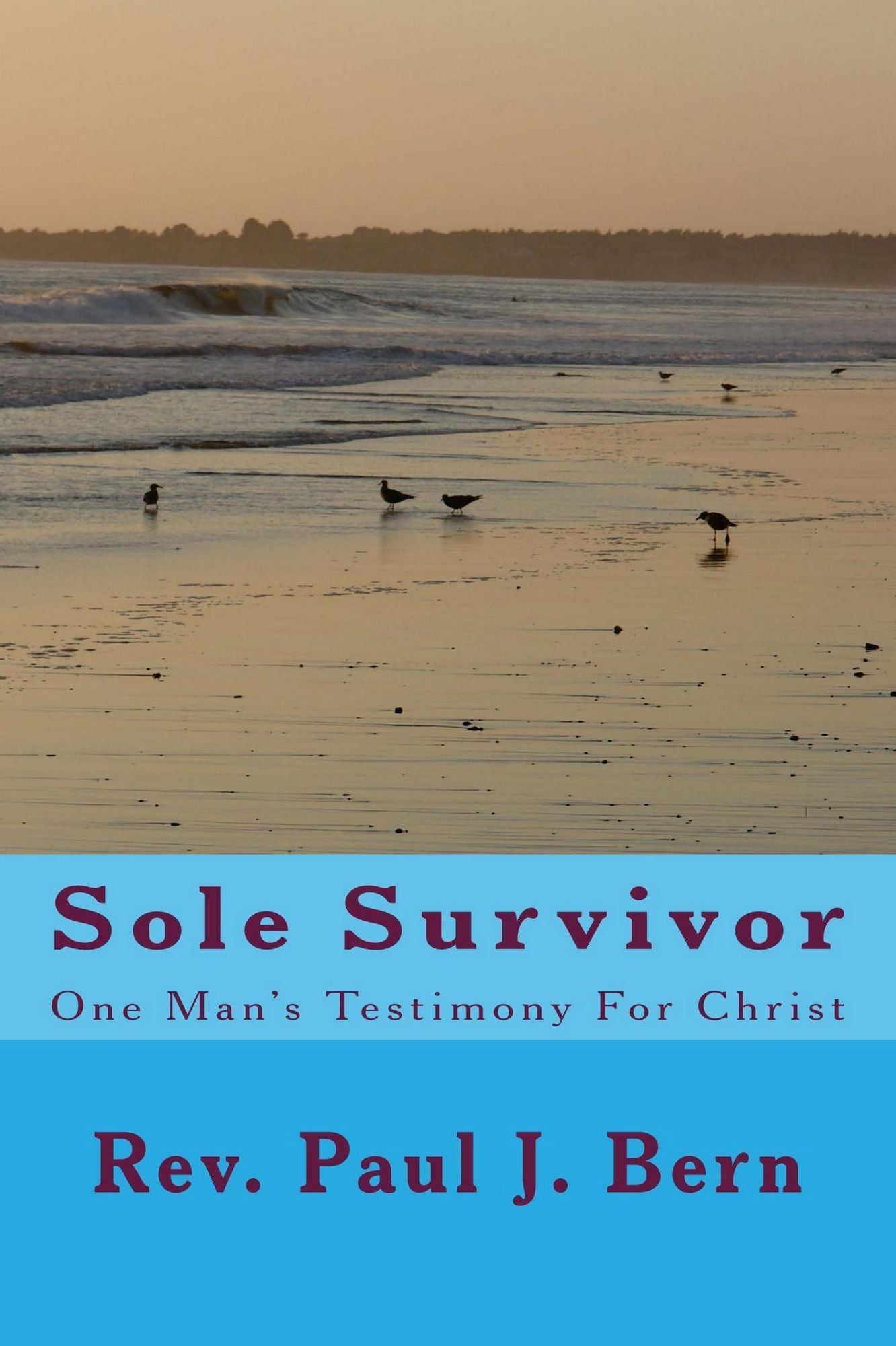 Sole Survivor