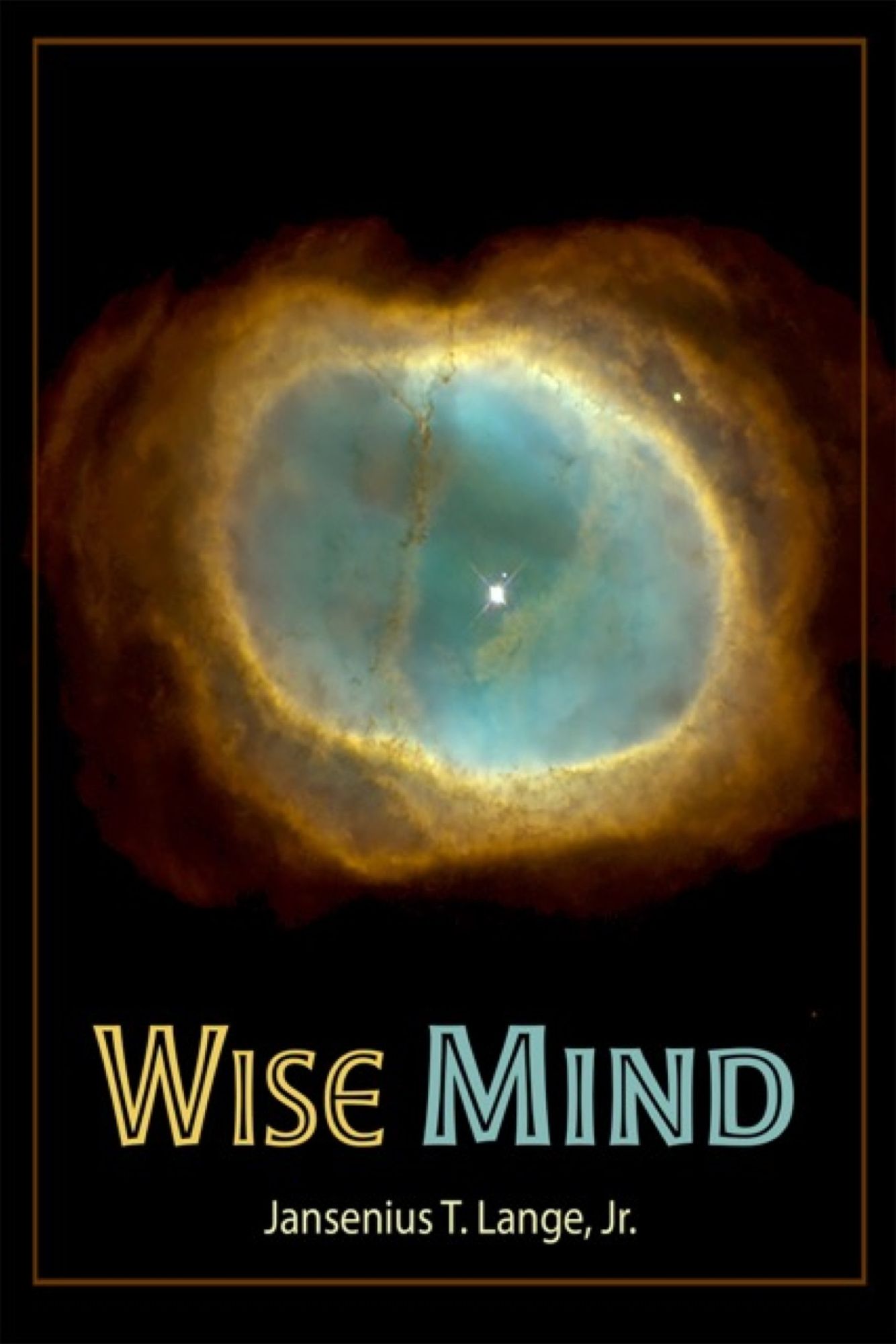 Wise Mind