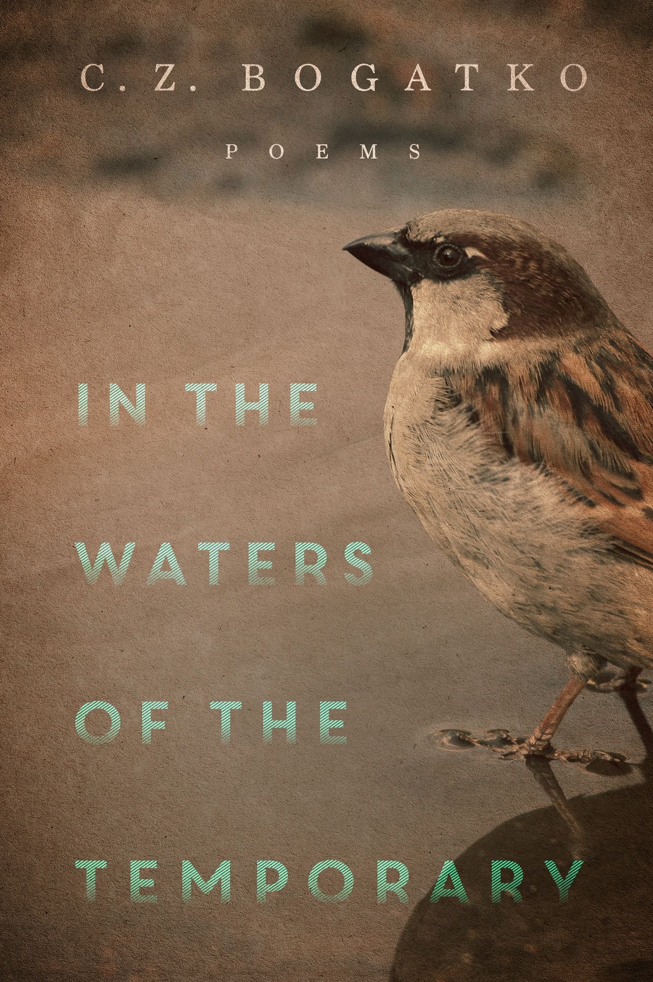 In the Waters of the Temporary