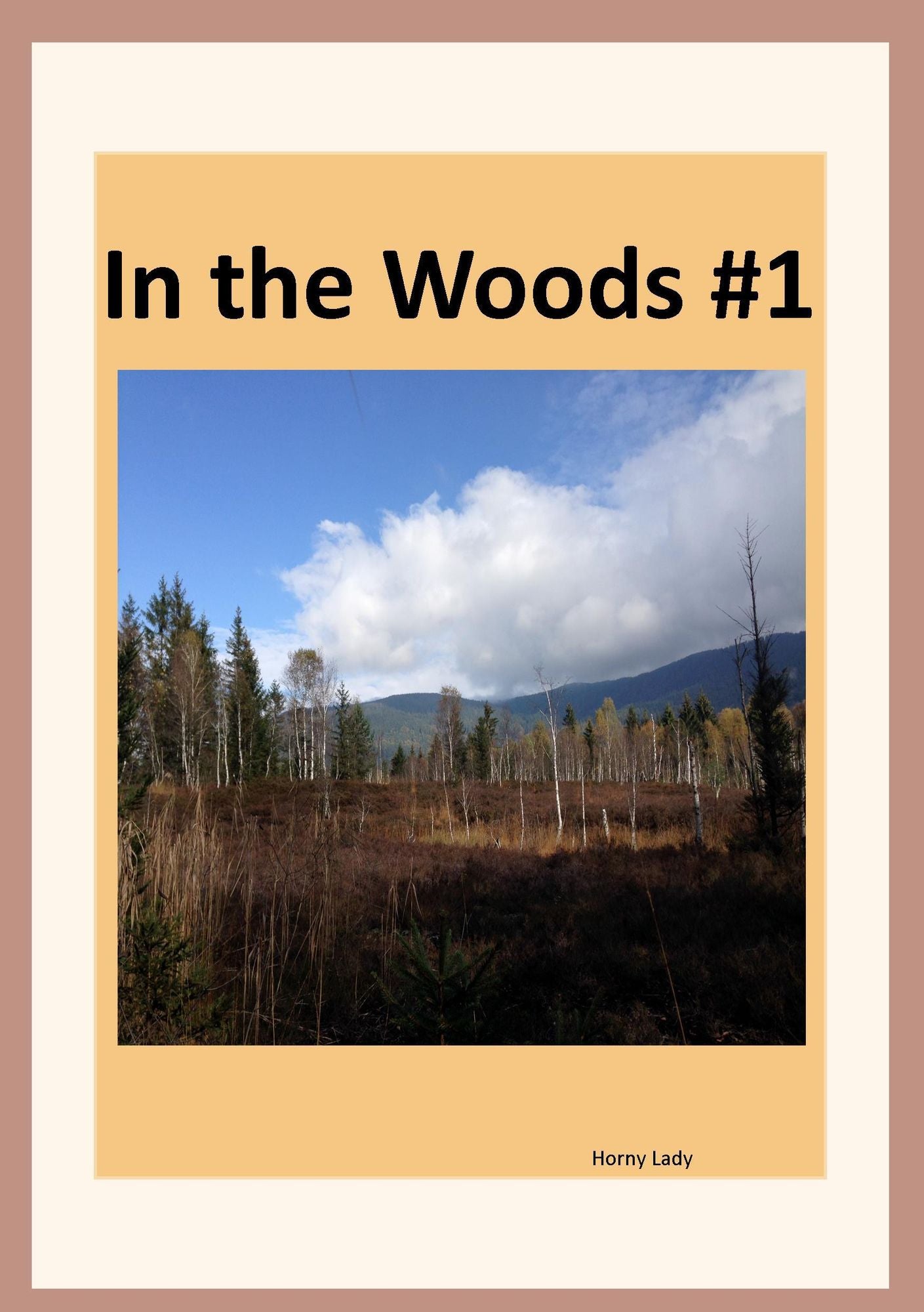 In the Woods #1