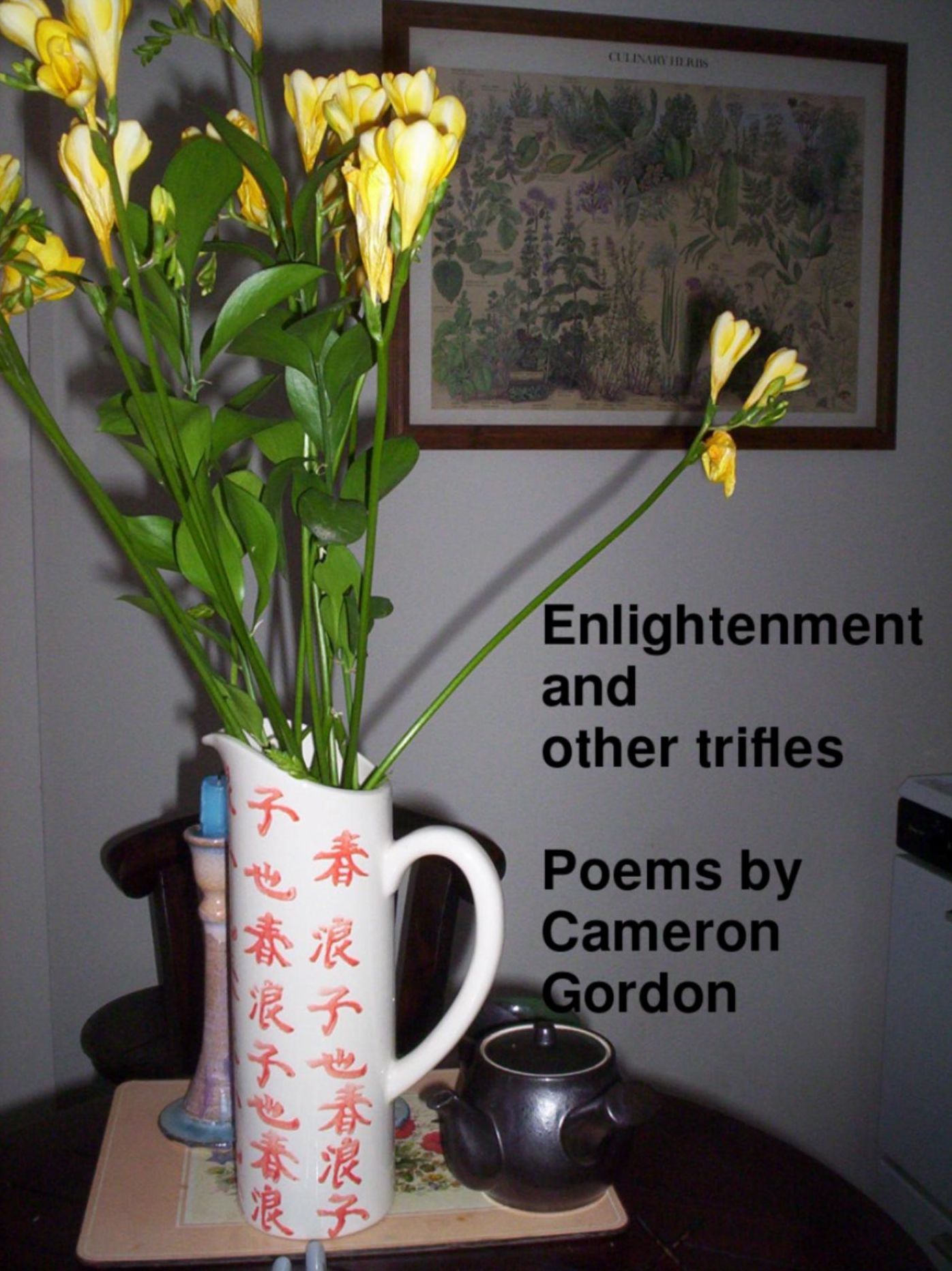 Enlightenment and other trifles: poems